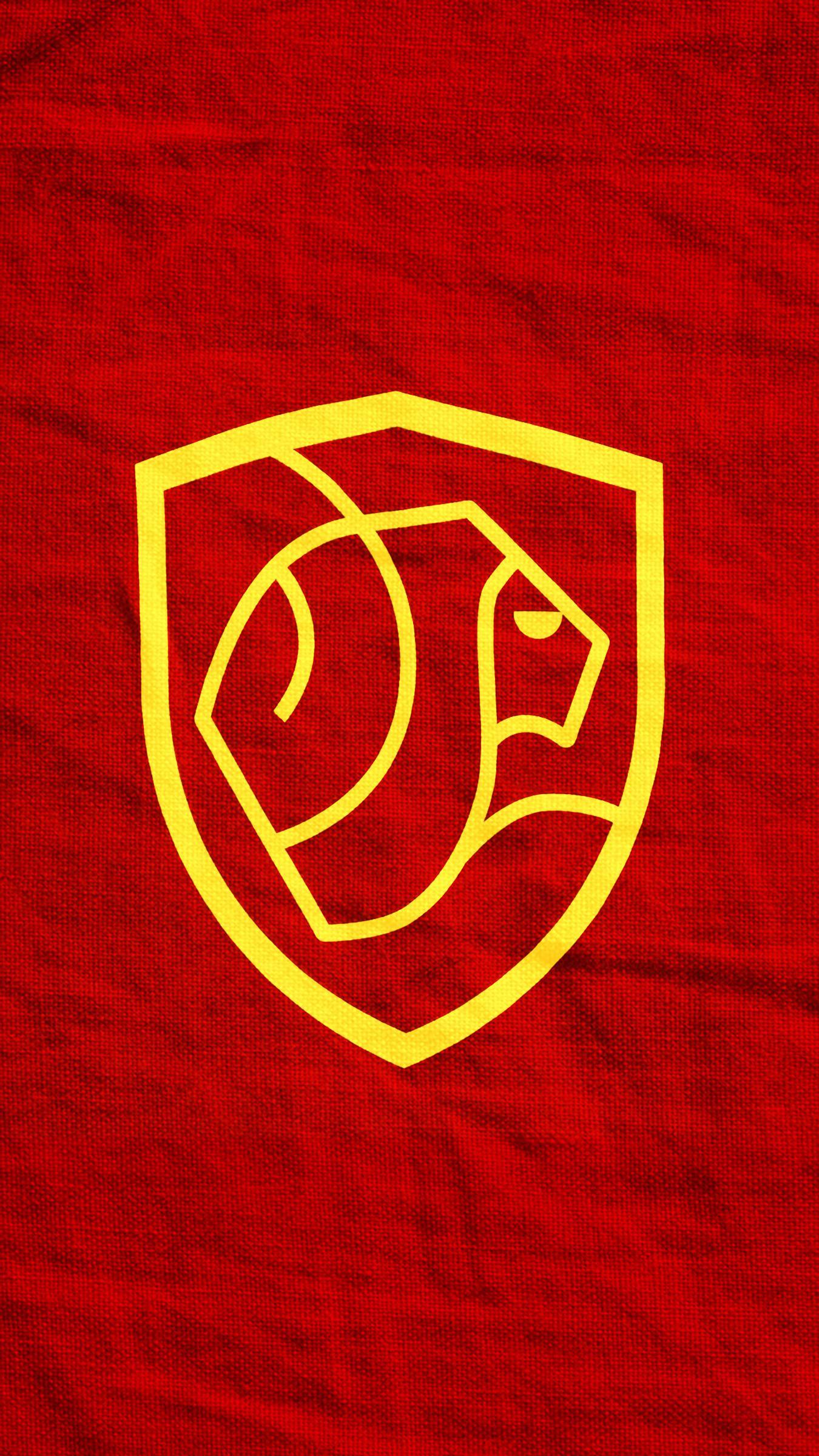 1350x2400 Harry Potter Gryffindor Wallpaper .
