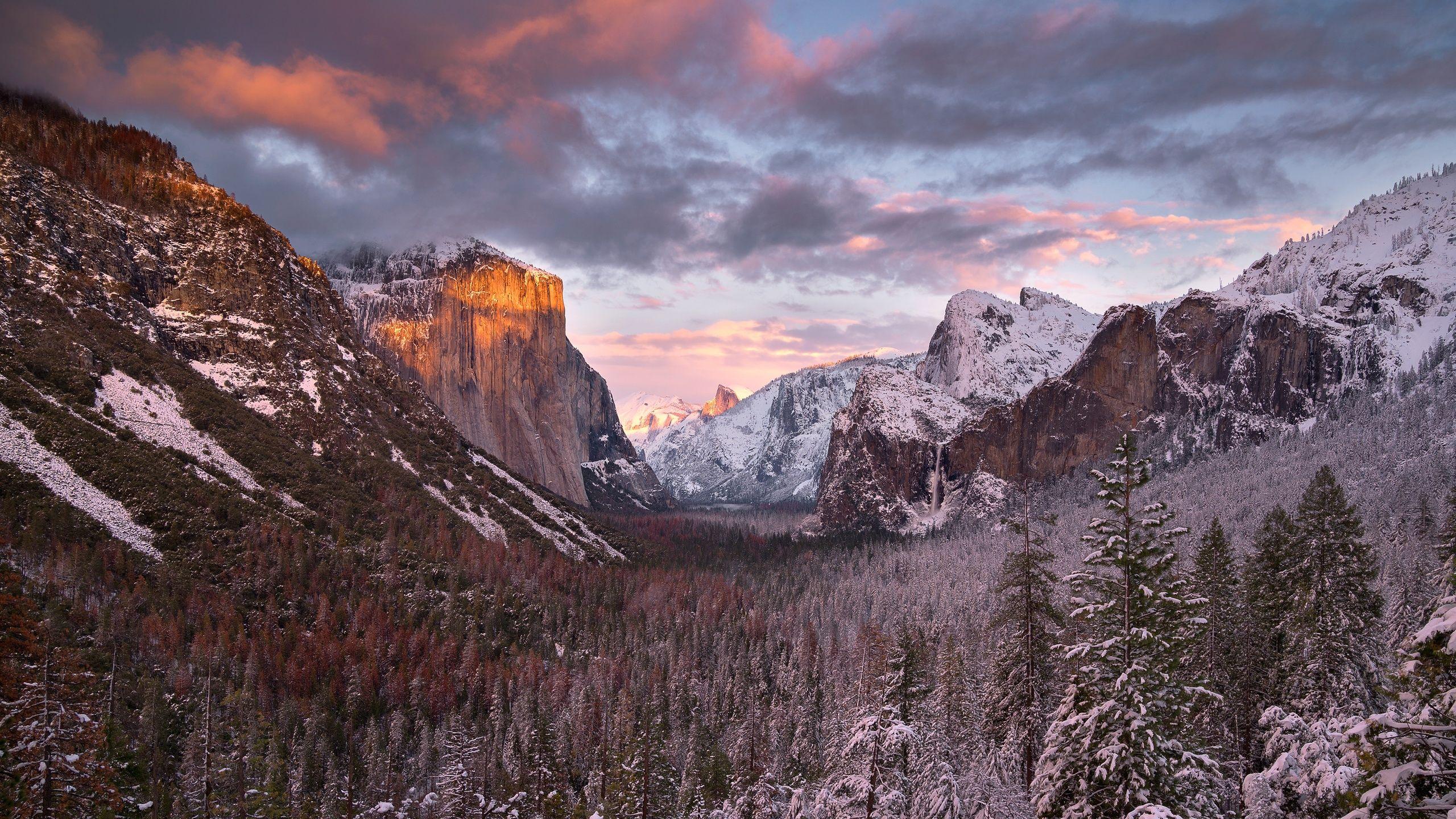 2560x1440 Yosemite National Park USA 4k .