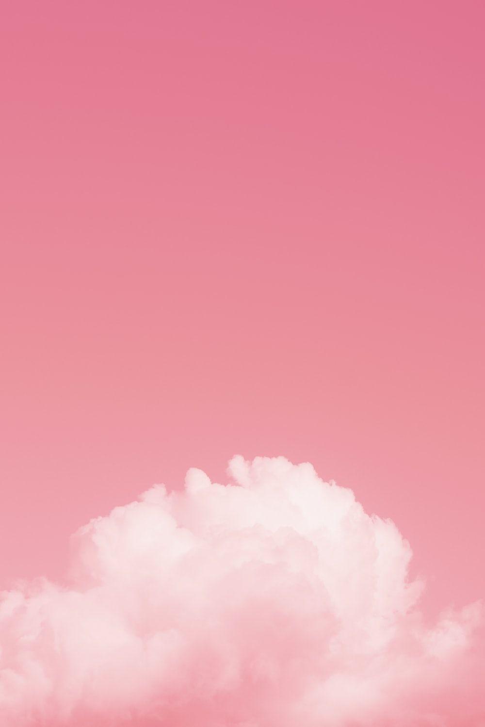 light-pink-color-wallpapers-top-free-light-pink-color-backgrounds