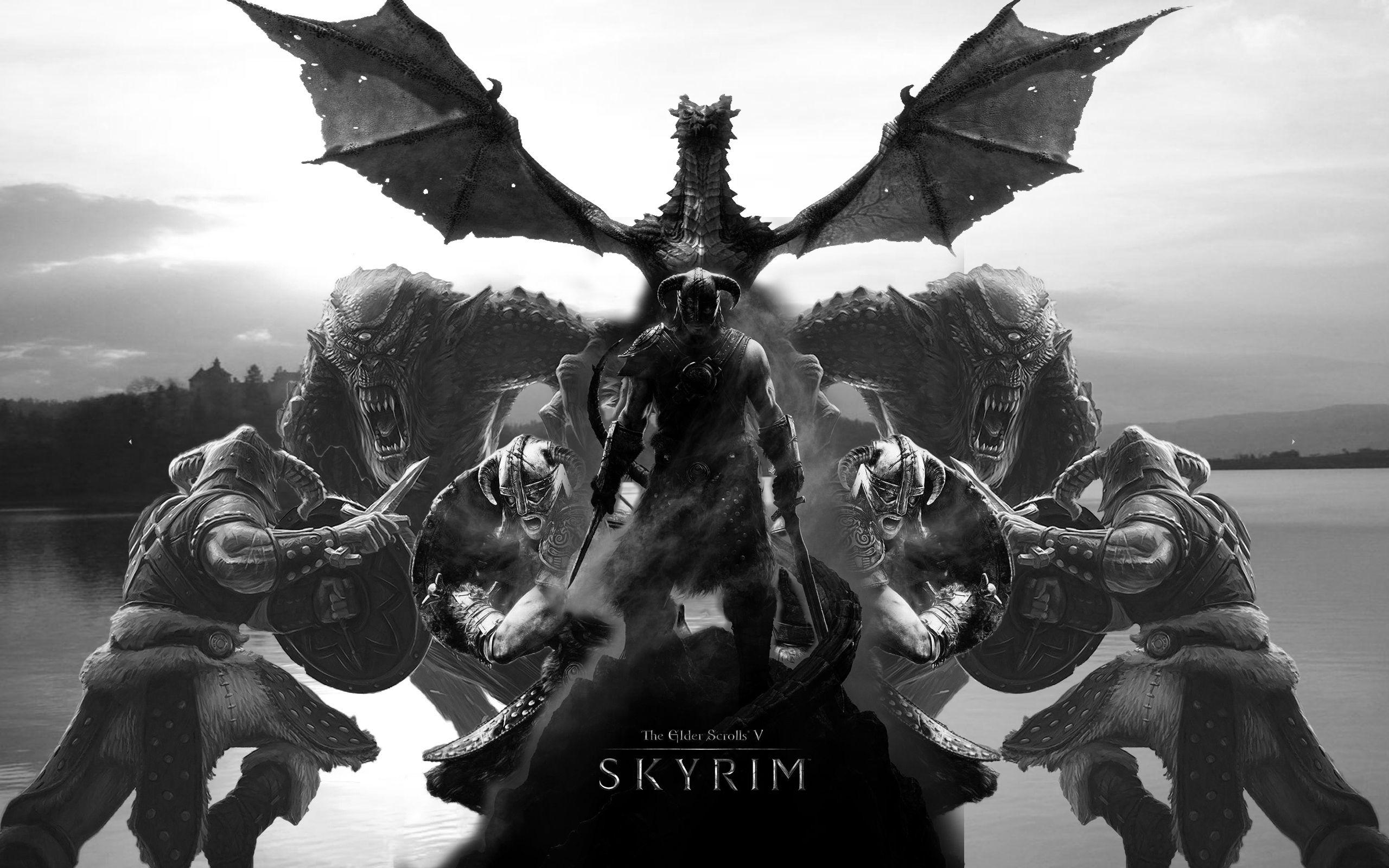 2560x1600 Funny Skyrim
