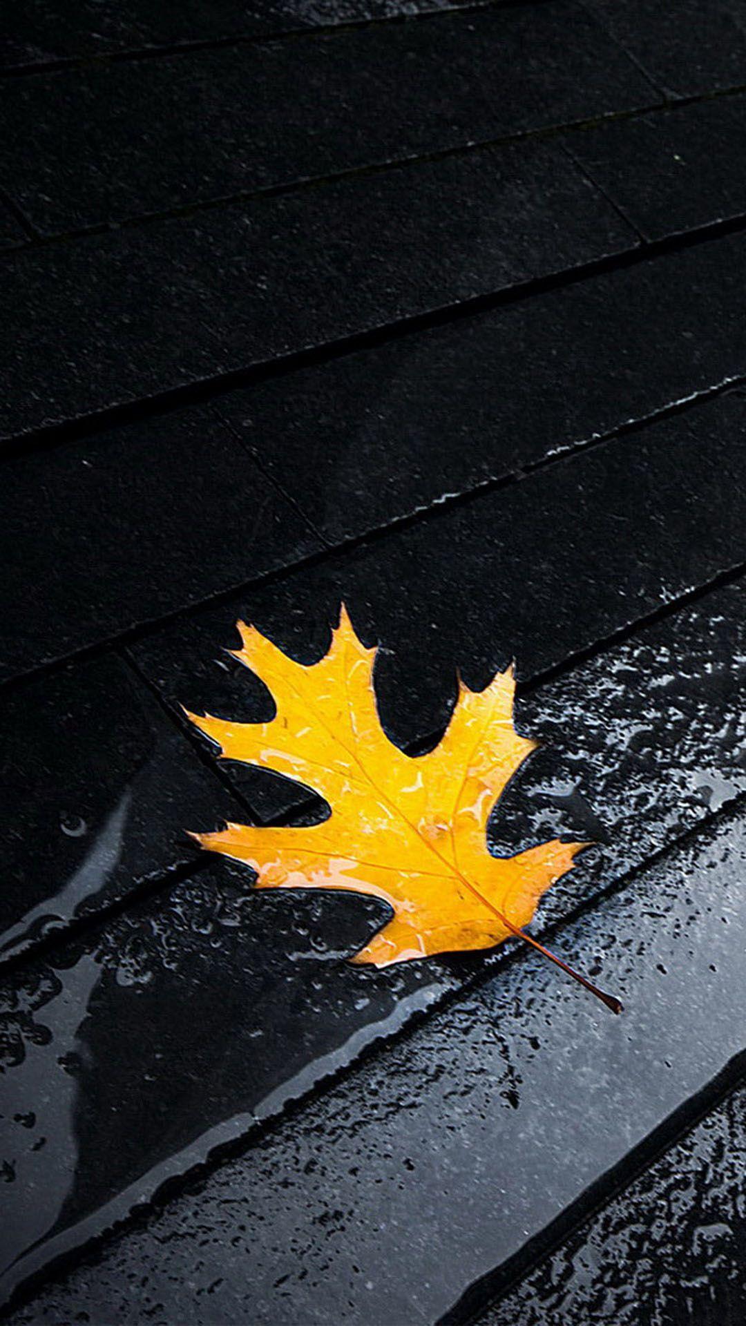 1080x1920 Pavement Rain Water Android Wallpaper .com