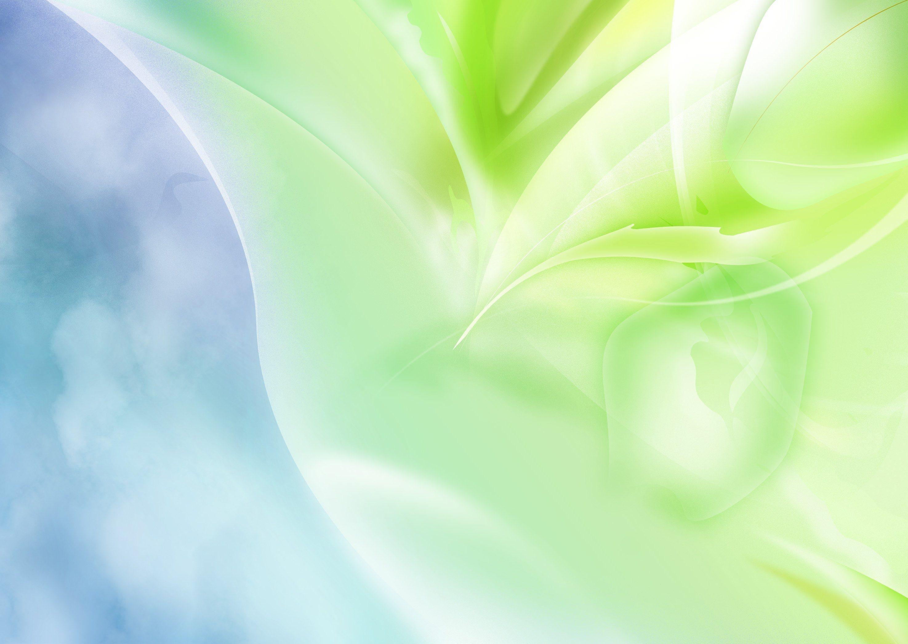 2950x2094 White Green