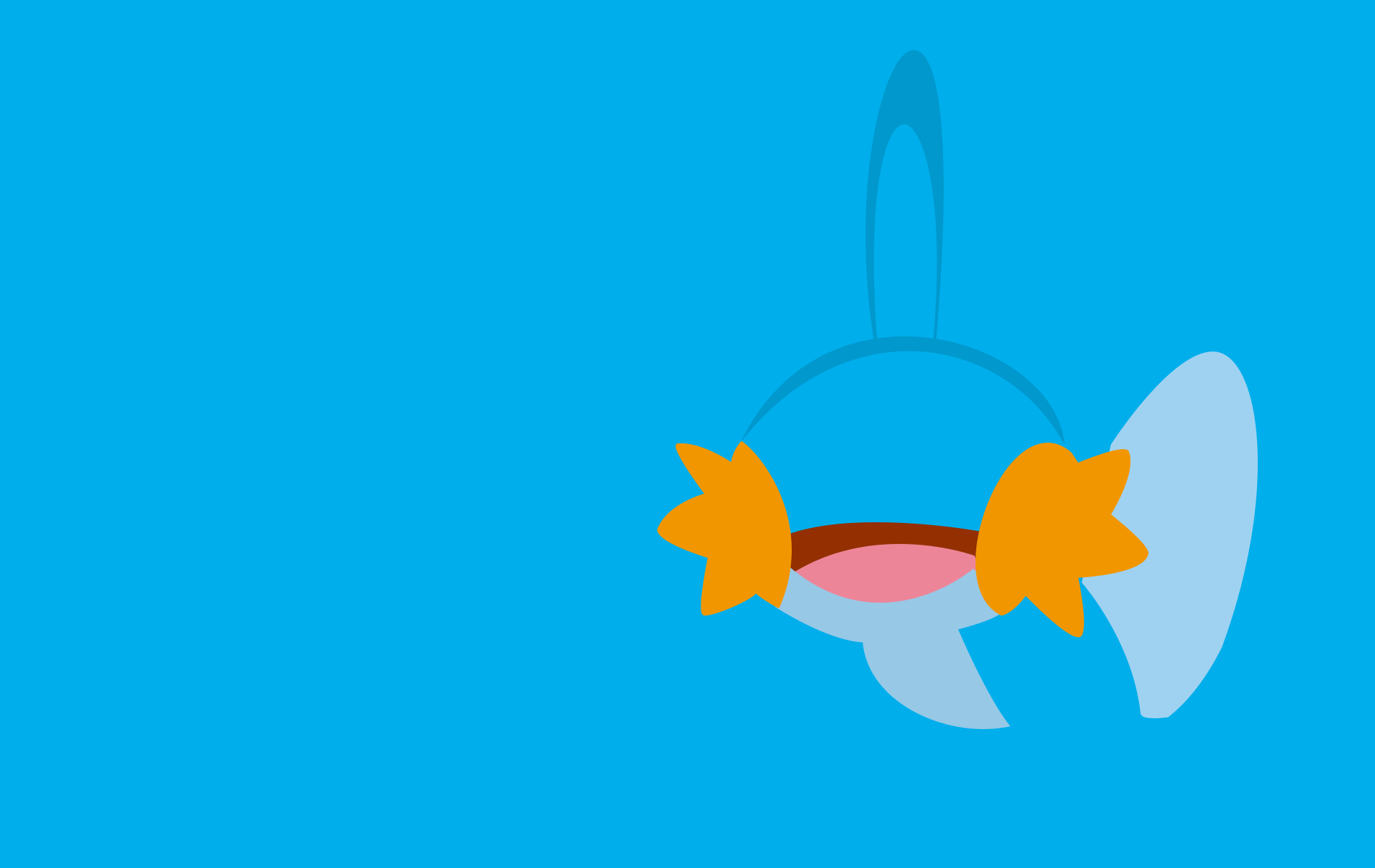 1900x1200 Mudkip
