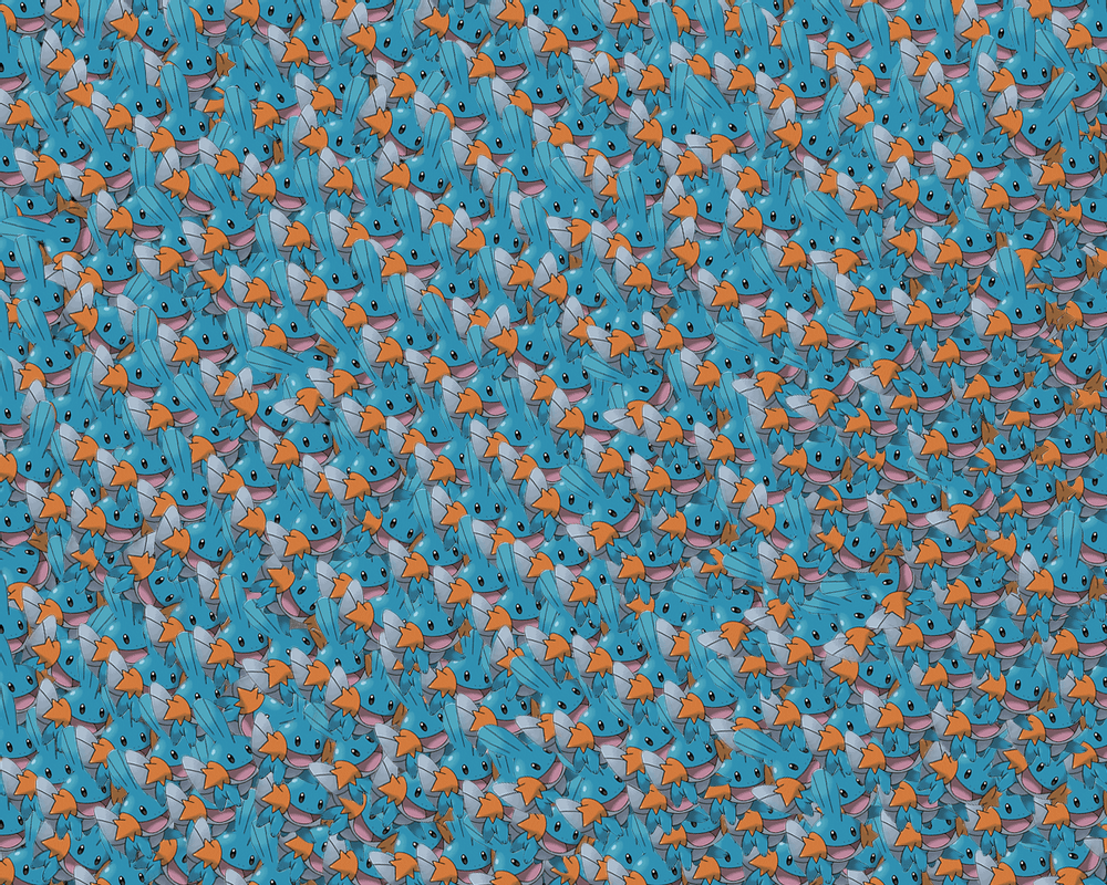 1000x800 Mudkip Wallpaper .17QQ.comline.