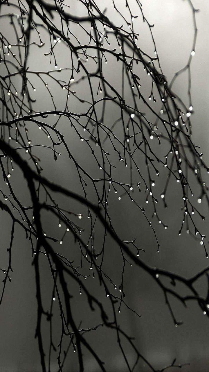 720x1280 Rain wallpaper .com