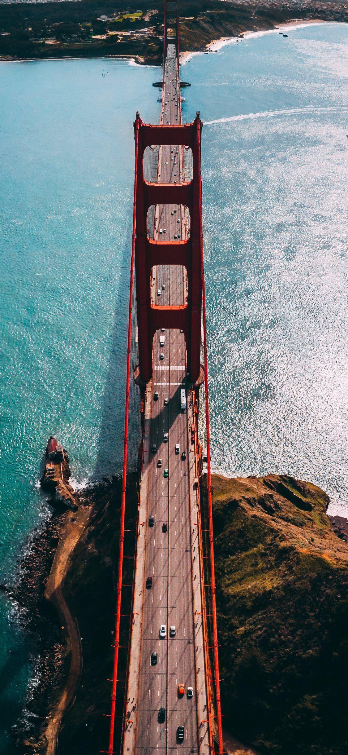 1125x2436 people walking on brown wooden dock .