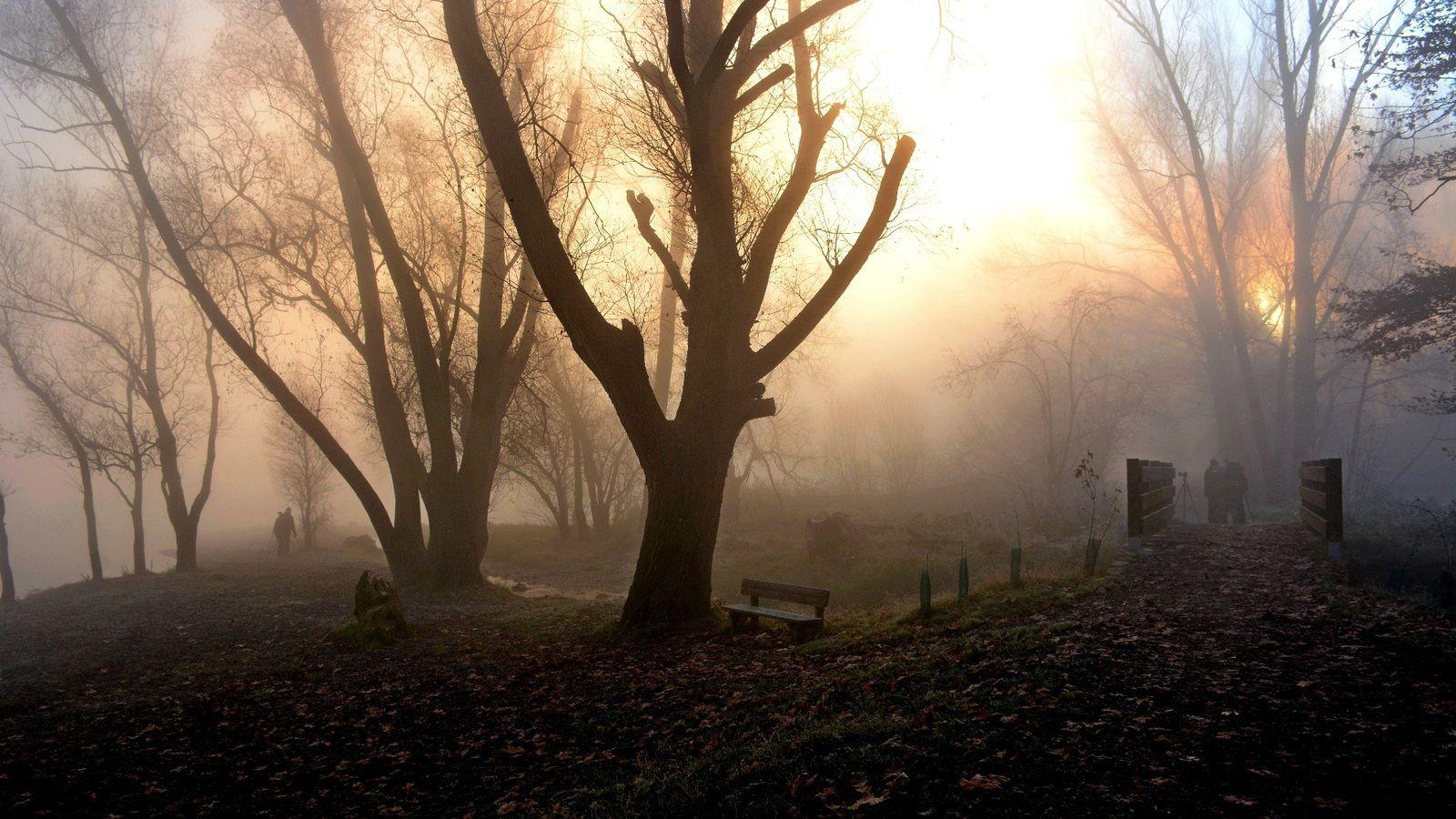1600x900 Park Fog Nature People Walking .