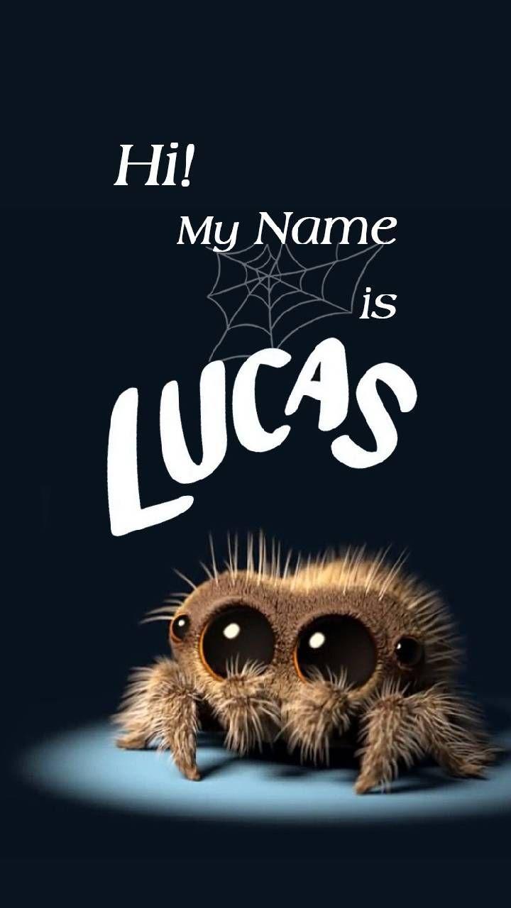 720x1280 Cute animal drawings, Lucas the spider .