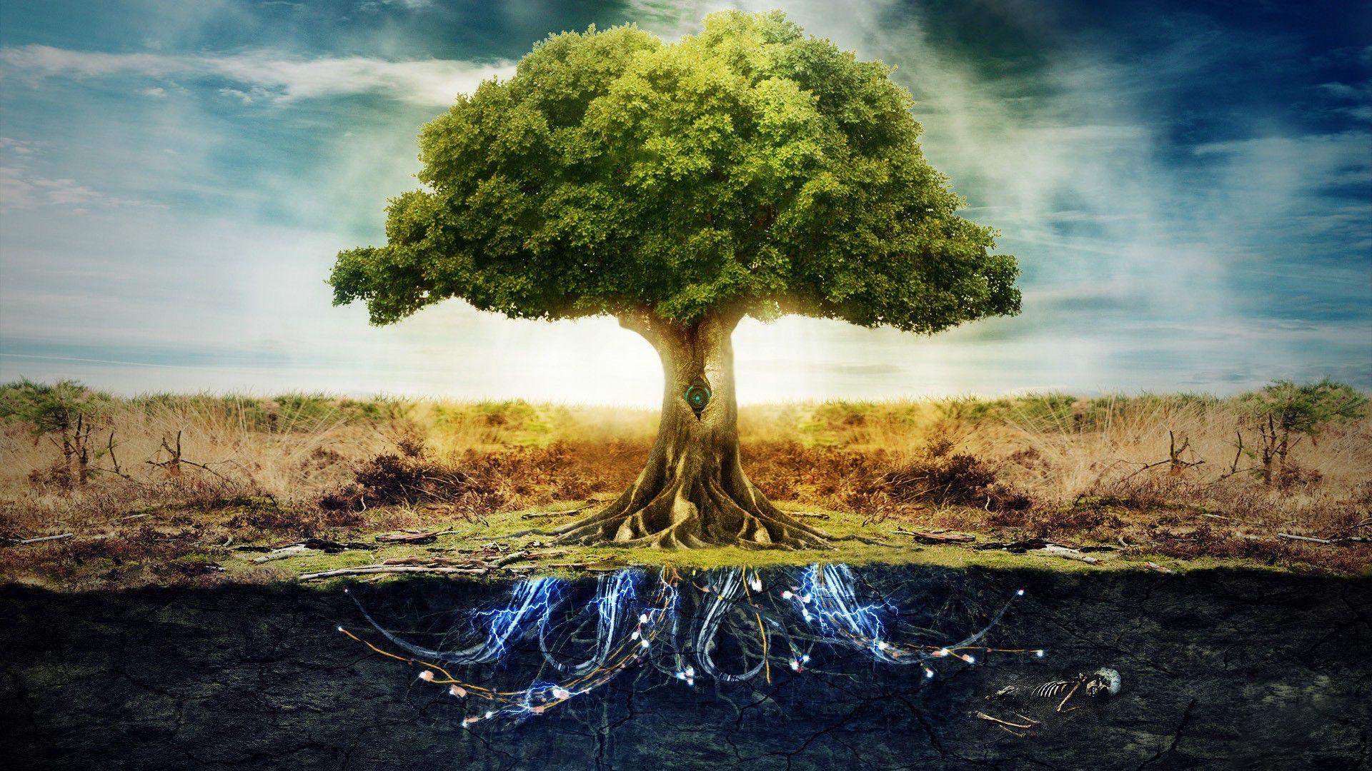 1920x1080 free artsy tree of life background windows mac wallpaper amazing 4k