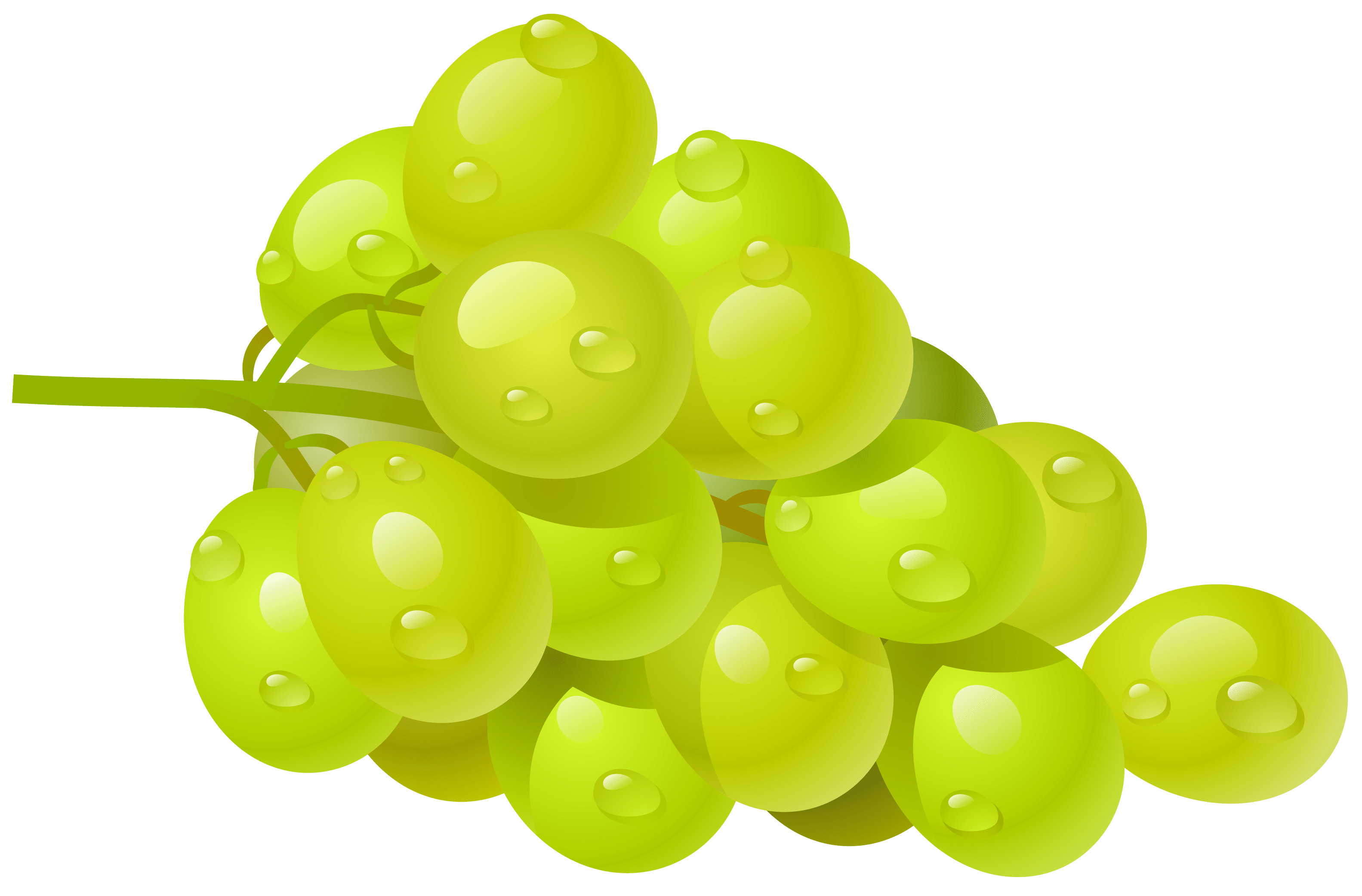 3166x2083 Clipart vegetables wallpaper, Clipart .