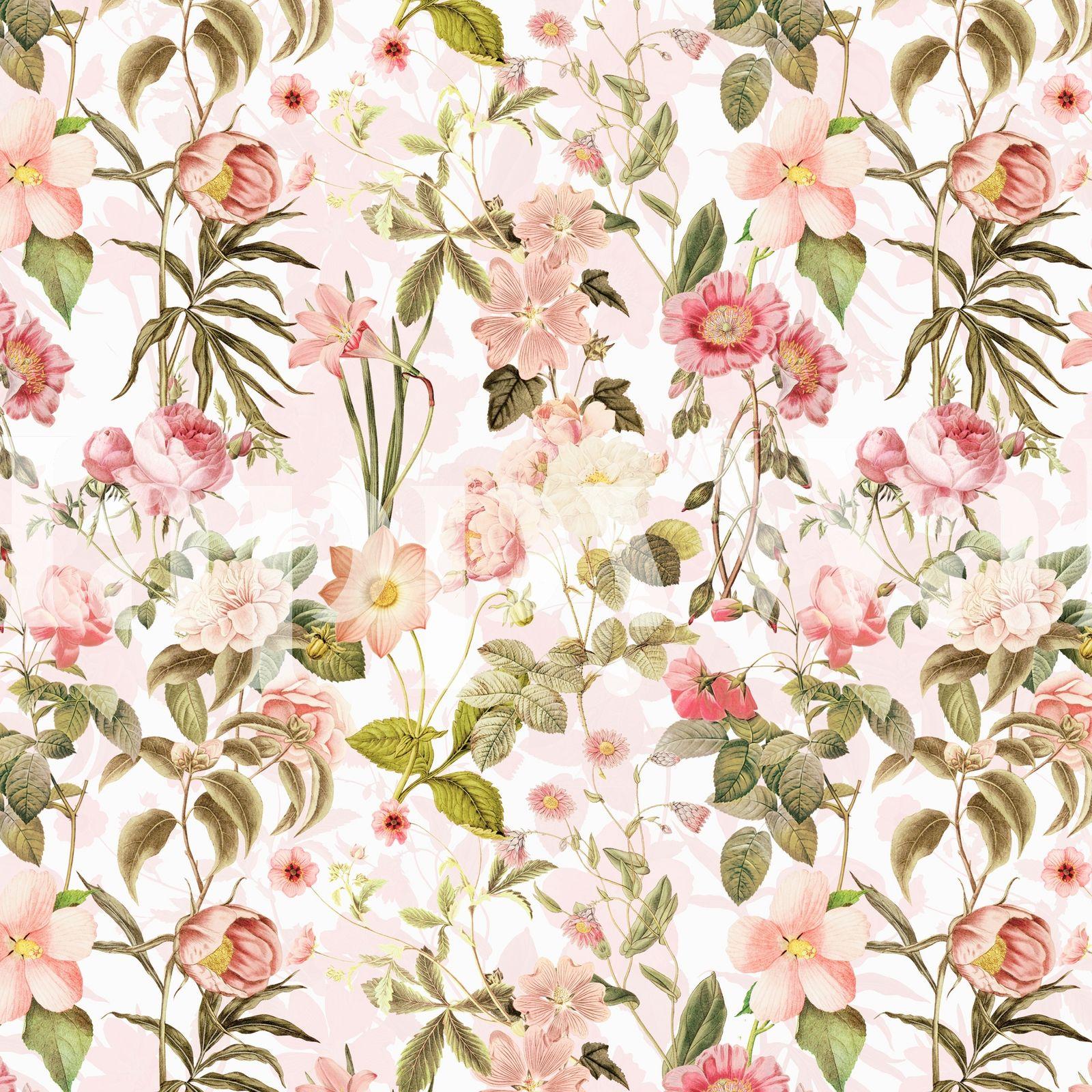 Blush Floral Wallpapers - Top Free Blush Floral Backgrounds