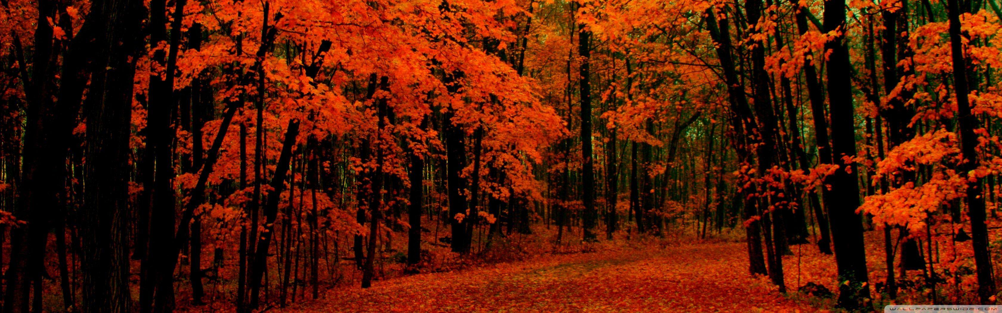 3360x1050 Autumn Dual
