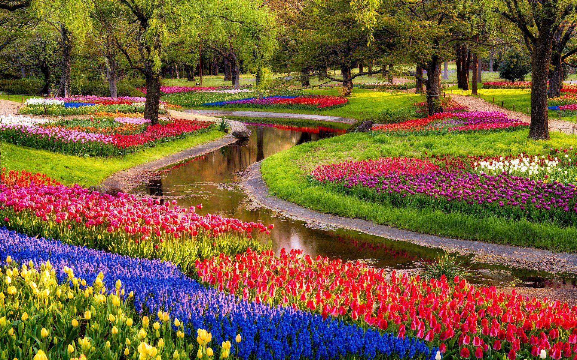 beautiful wallpapers of flower gardens