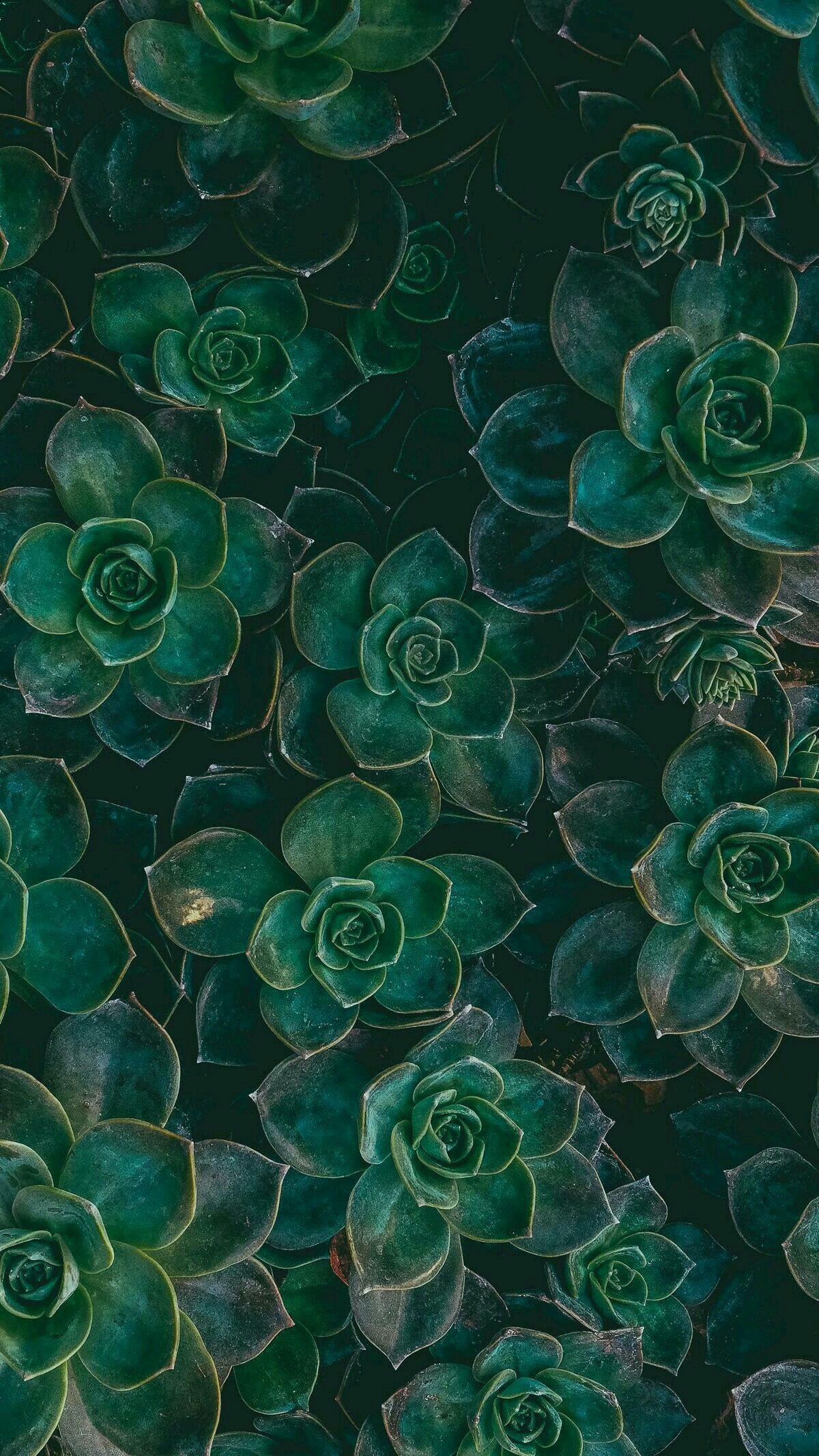 1200x2133 Amazing life of the universe NATURAL Versions Share ©by