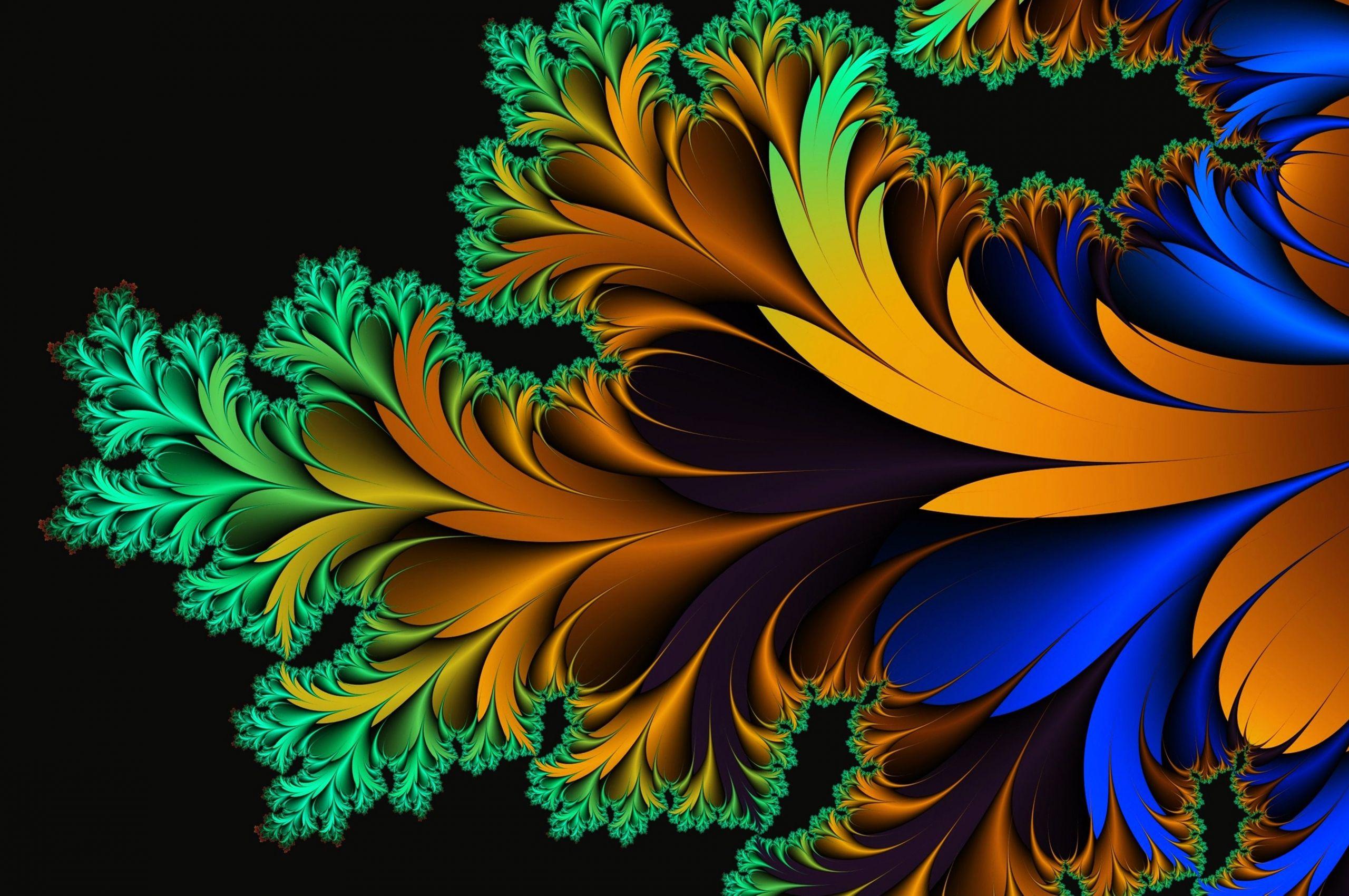 2560x1700 Free download 17064 abstract feather .
