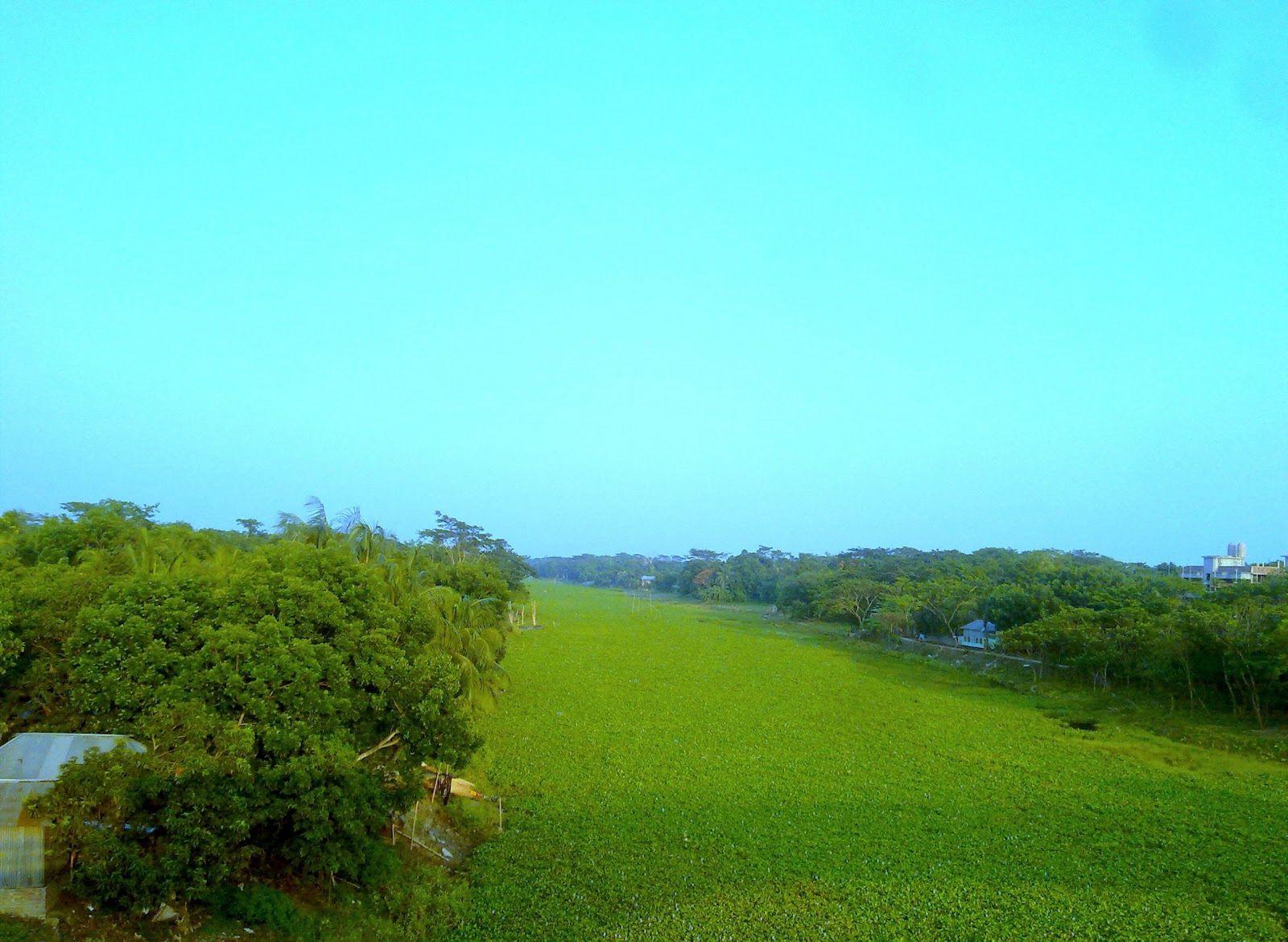 1600x1170 Bangladeshi Nature Vista Wallpaper .line.