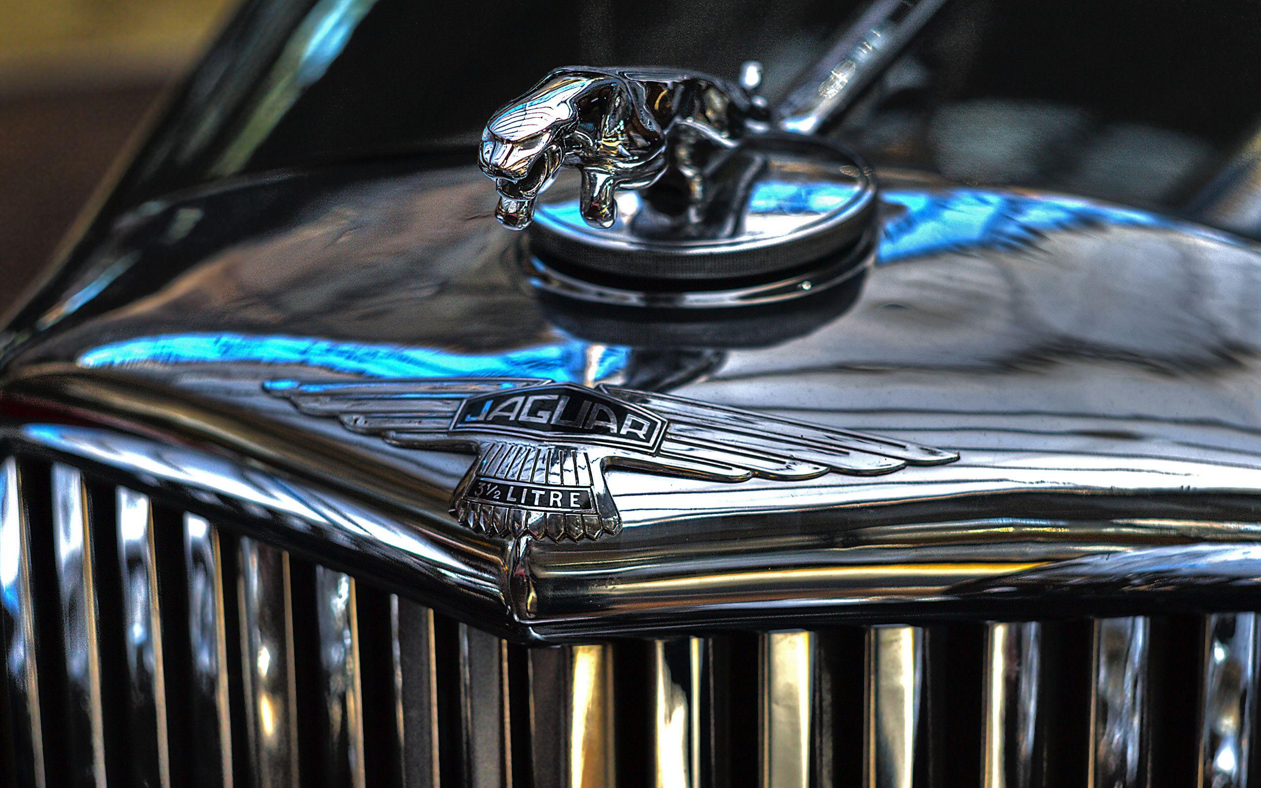 2560x1600 Jaguar Car Logo Wallpaper HD For