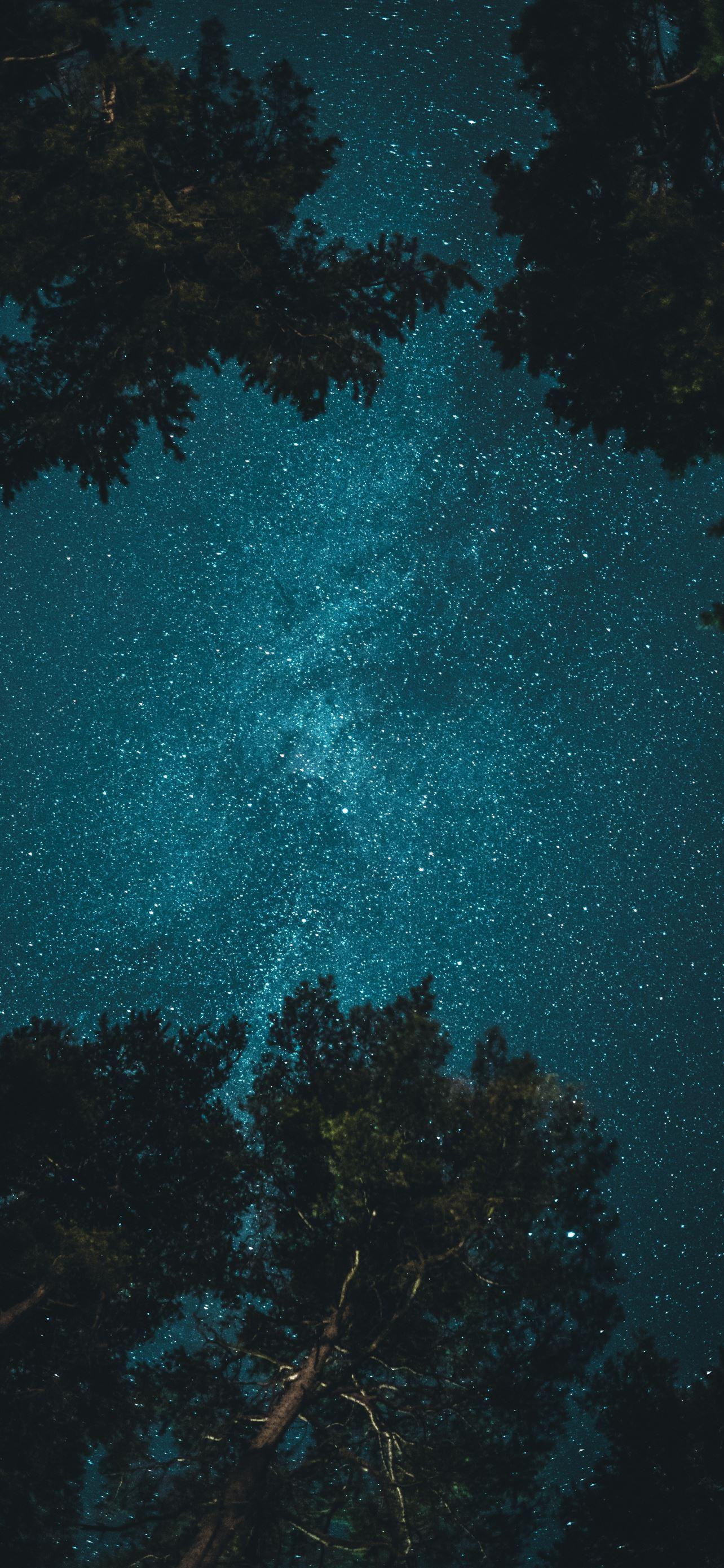 1284x2778 starry night iPhone 12 Wallpaper Free .