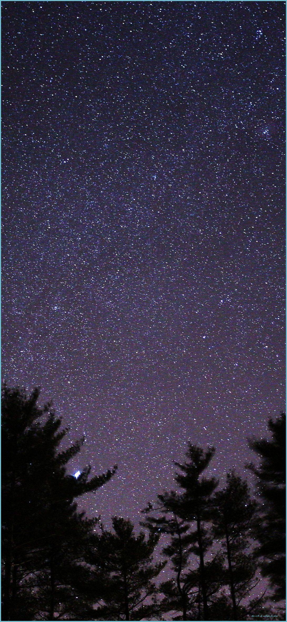 1091x2362 Night Sky Wallpaper Iphone 10 .