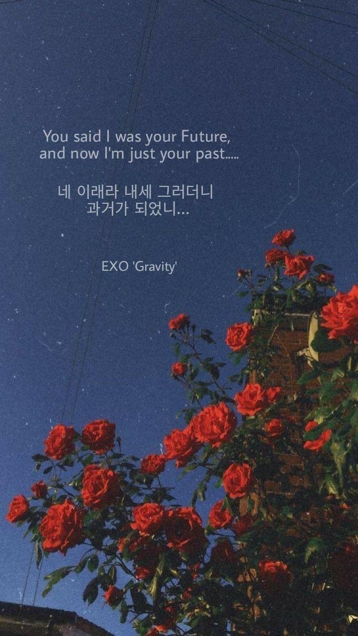 720x1280 EXO Lyrics