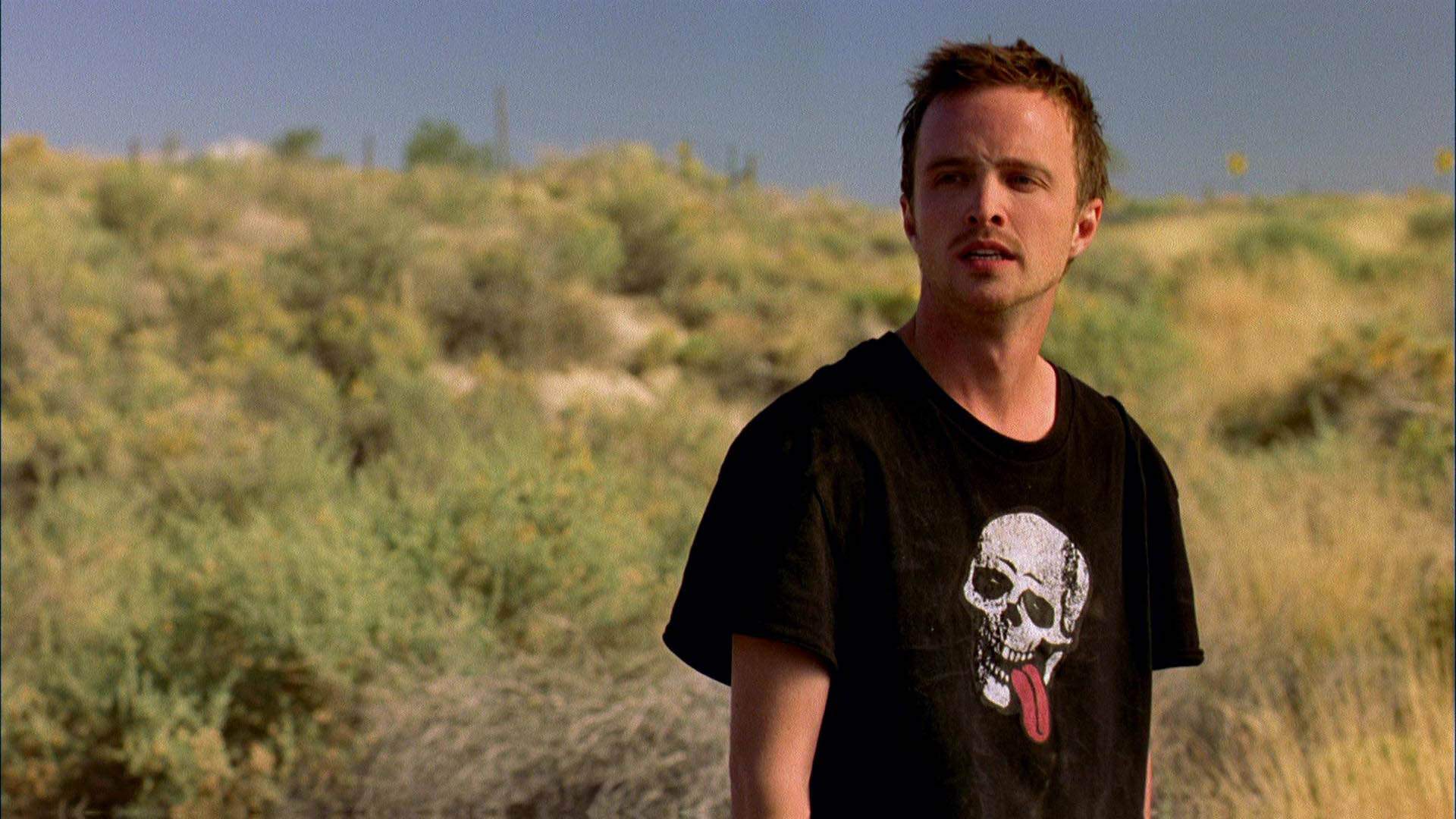 1920x1080 kickass dialogues in Breaking Bad .