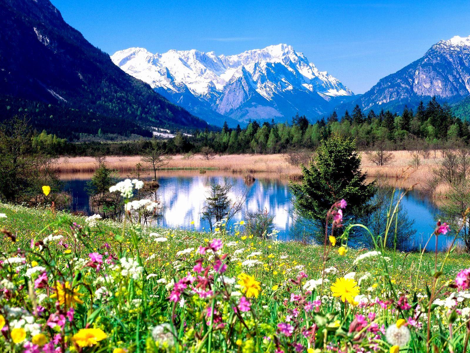 1600x1200 Spring Wallpaper HD free download .