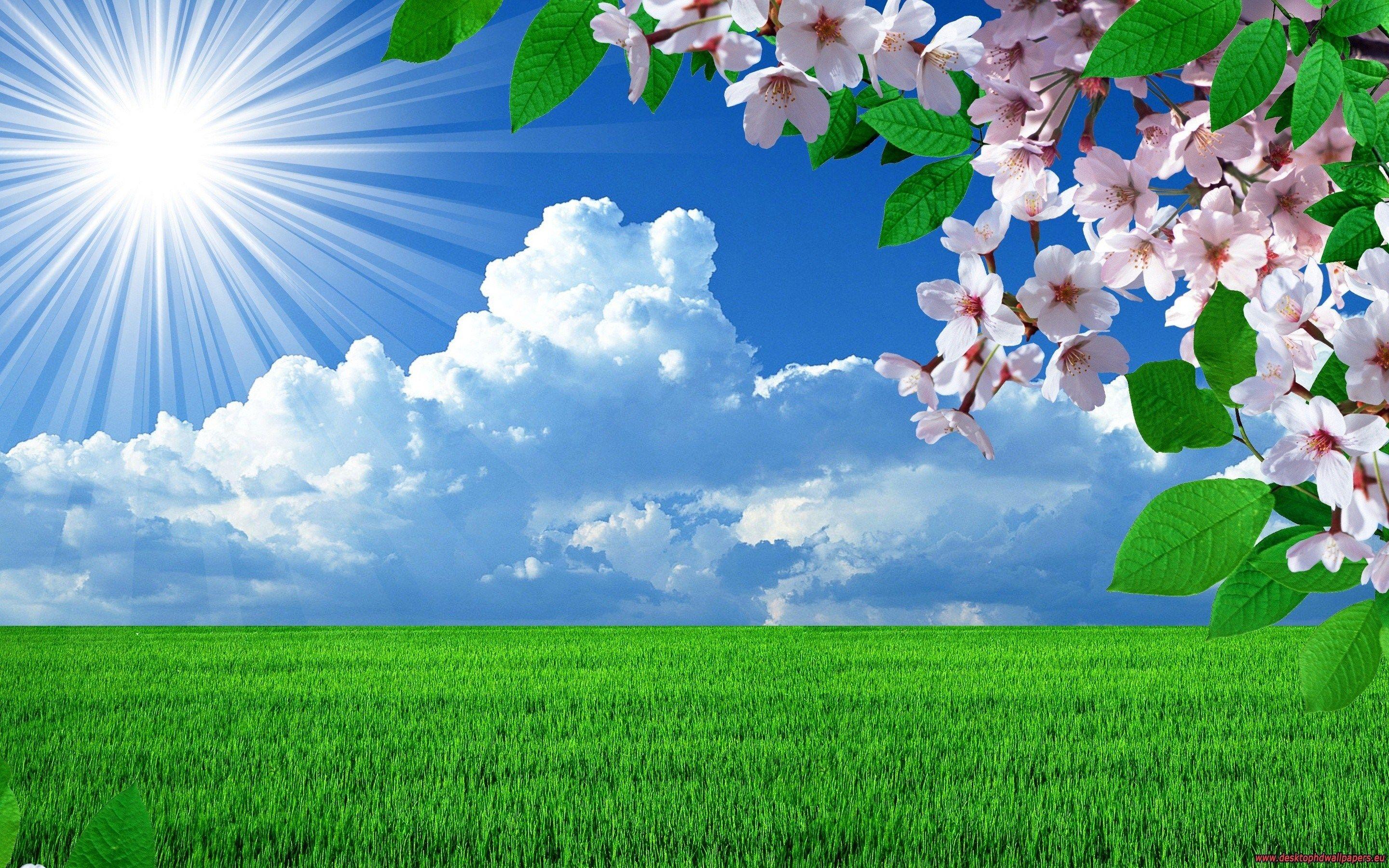 2880x1800 Nature Spring Flowers Landscapes .