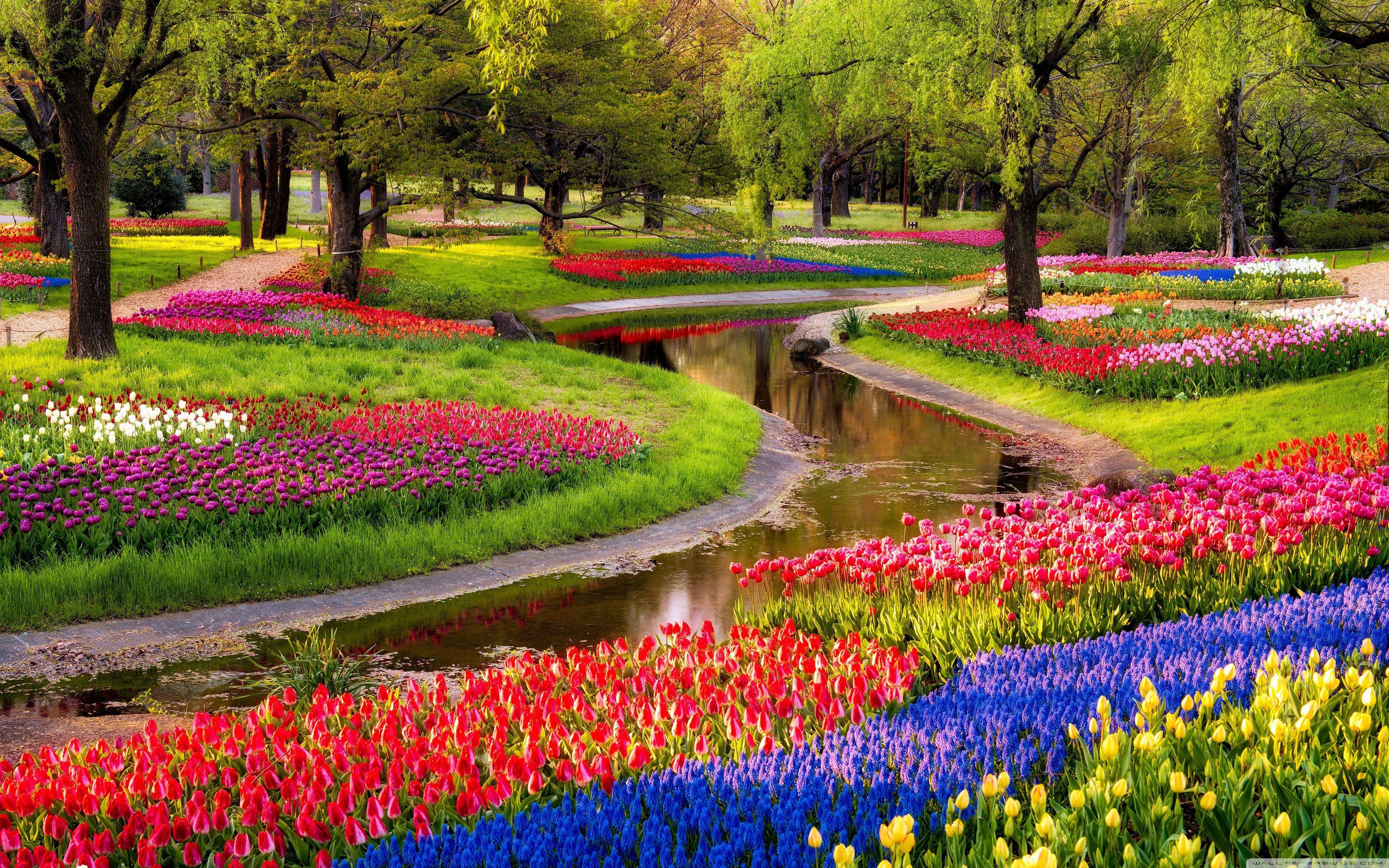3840x2400 Spring Flower Garden Wallpaper on .wallpaper.dog