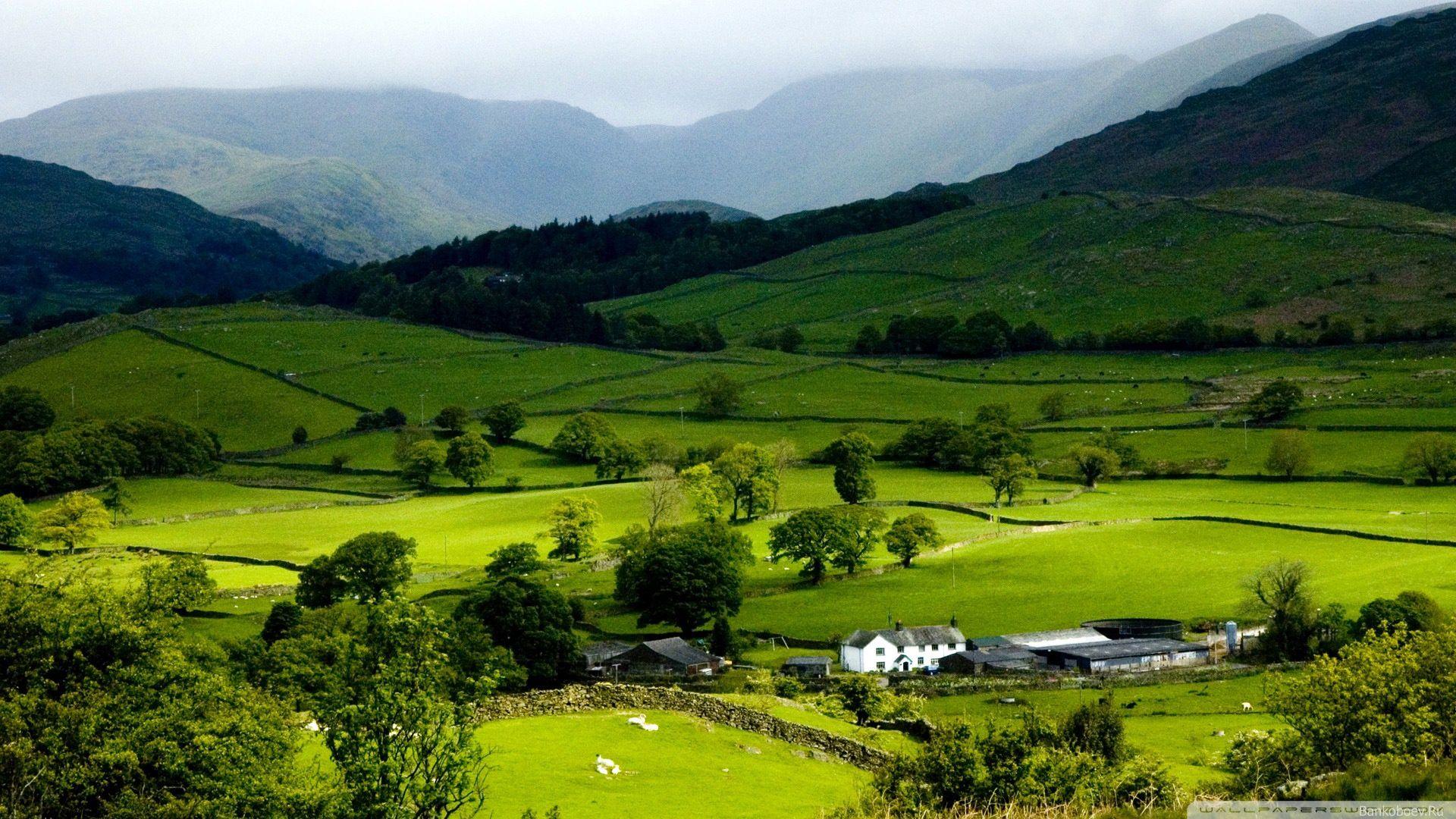 1920x1080 Download Mountain Spring Landscape .