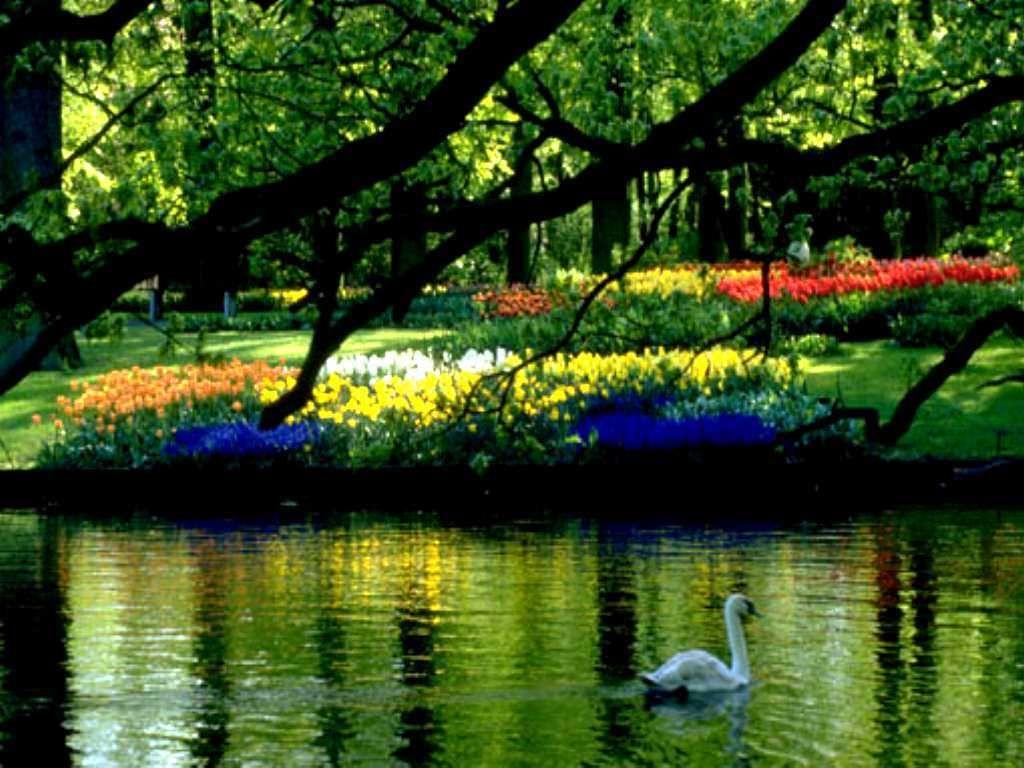 1024x768 Wallpaper Spring Nature Scenes .