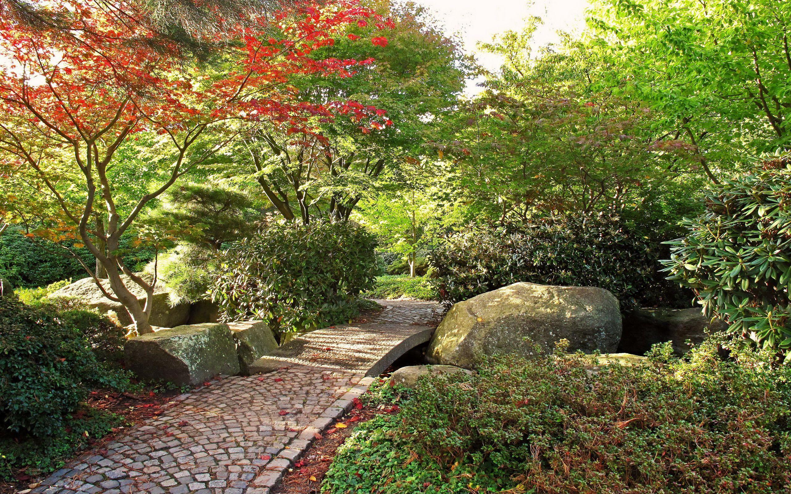 2560x1600 Buy Custom garden wallpaperD flowers corridor. HD Wallpaper