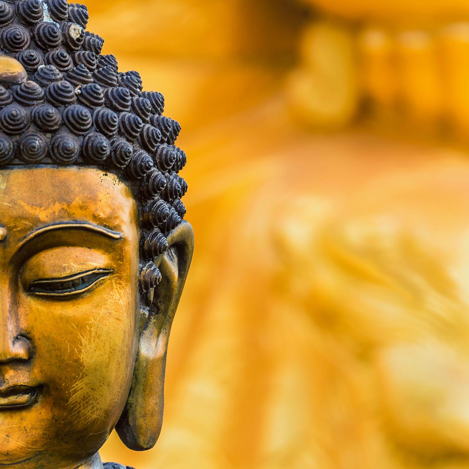 1500x1500 Free photo: Half Buddha Face .