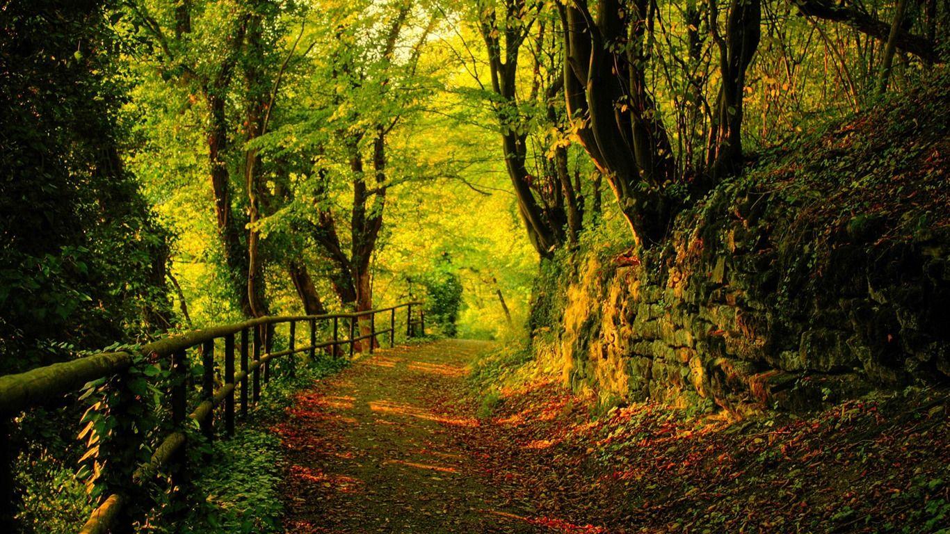 1366x768 Landscape Wallpaper High Definition 1366x768 Wallpaper