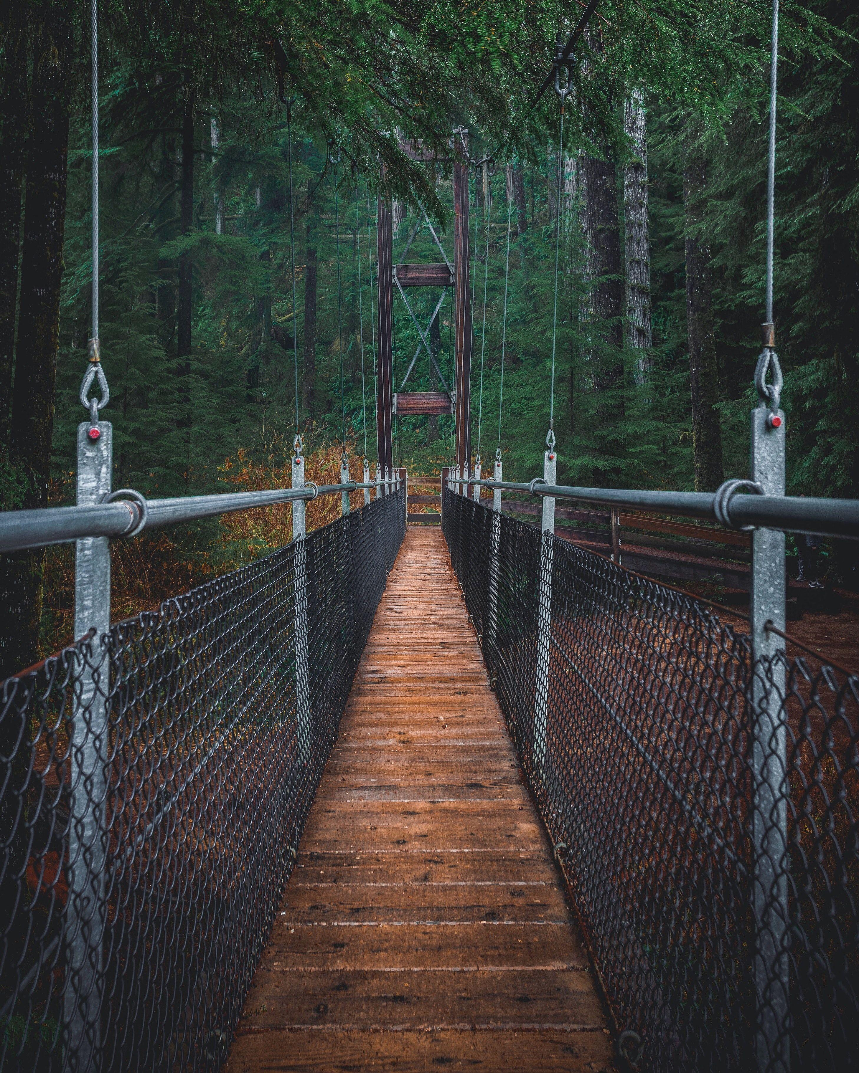 2915x3643 Suspension Bridge · Free