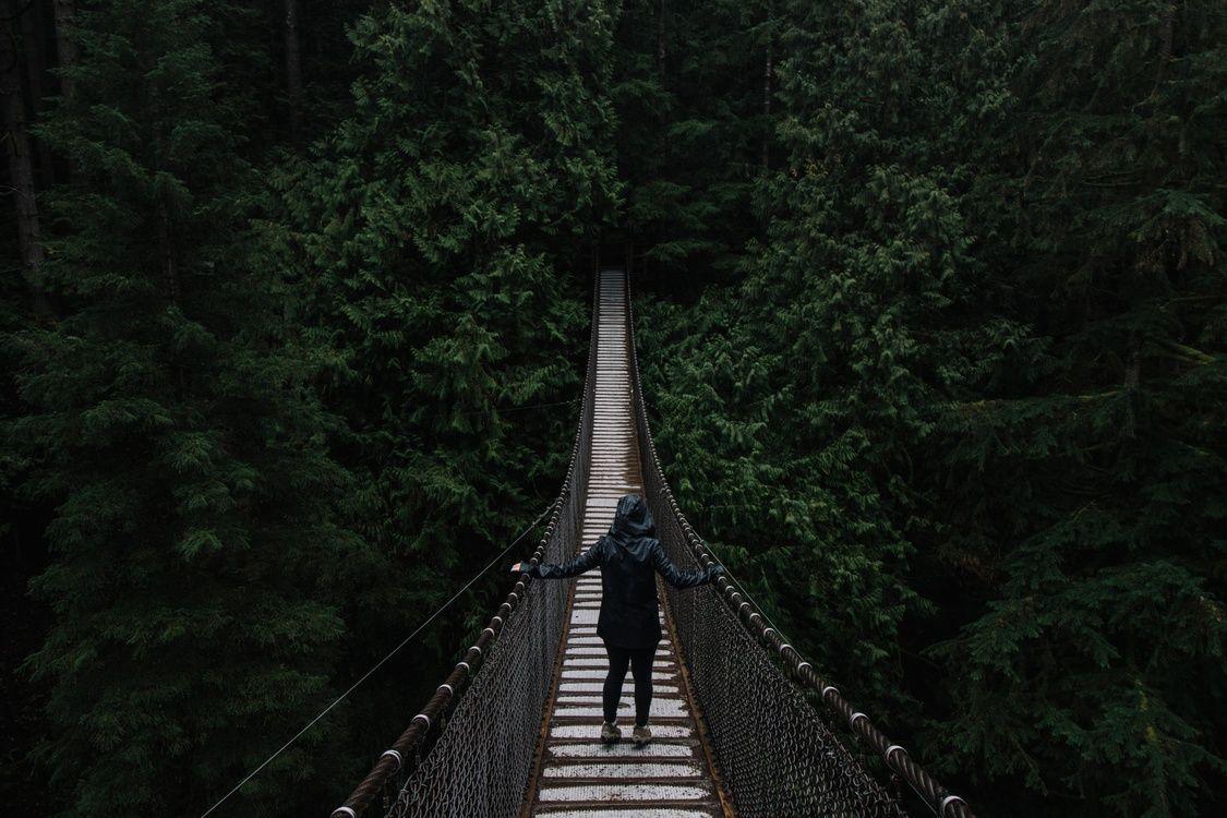 1125x750 Computer Wallpaper, Bridge, Suspension .