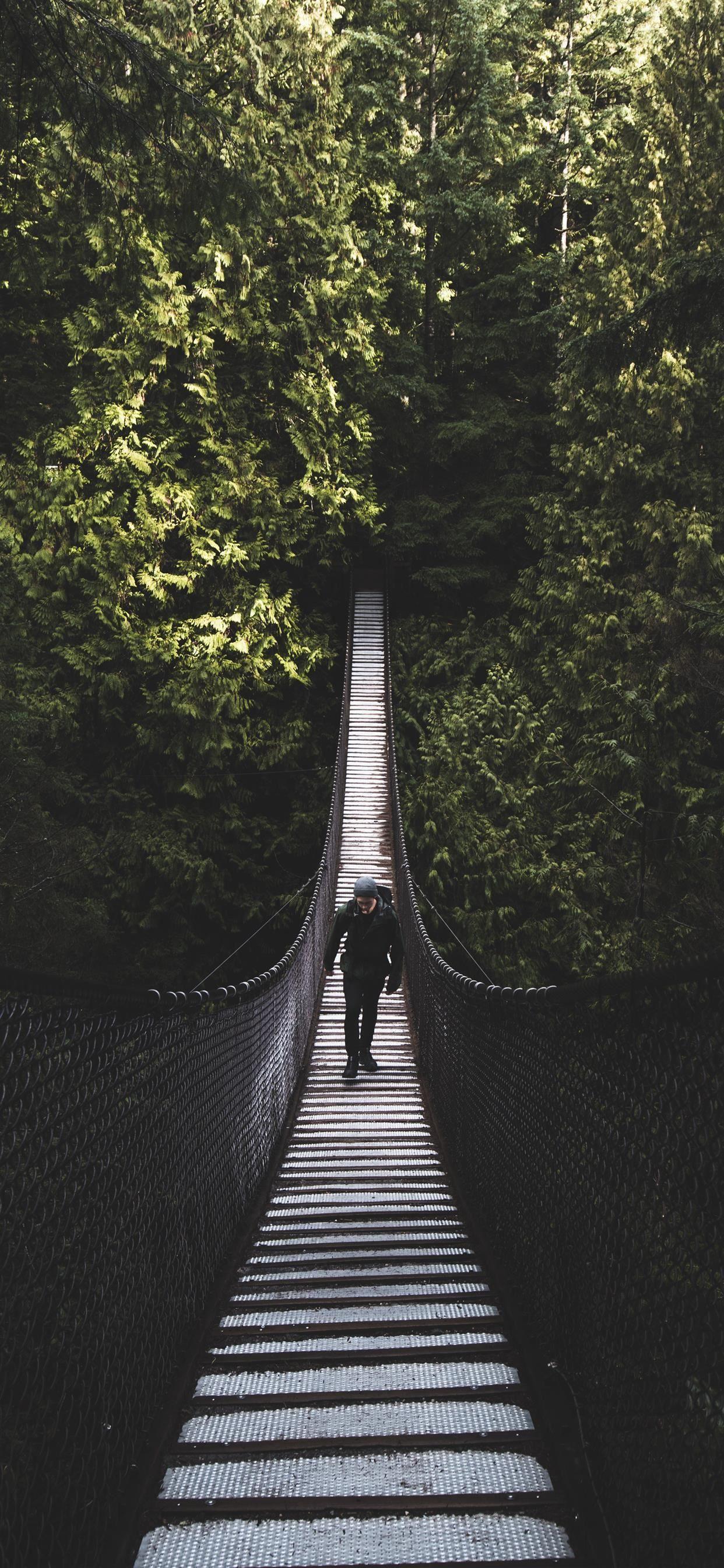 1242x2688 Lynn Canyon Suspension Bridge North Vancouver Ca. iPhone X Wallpaper Free Download