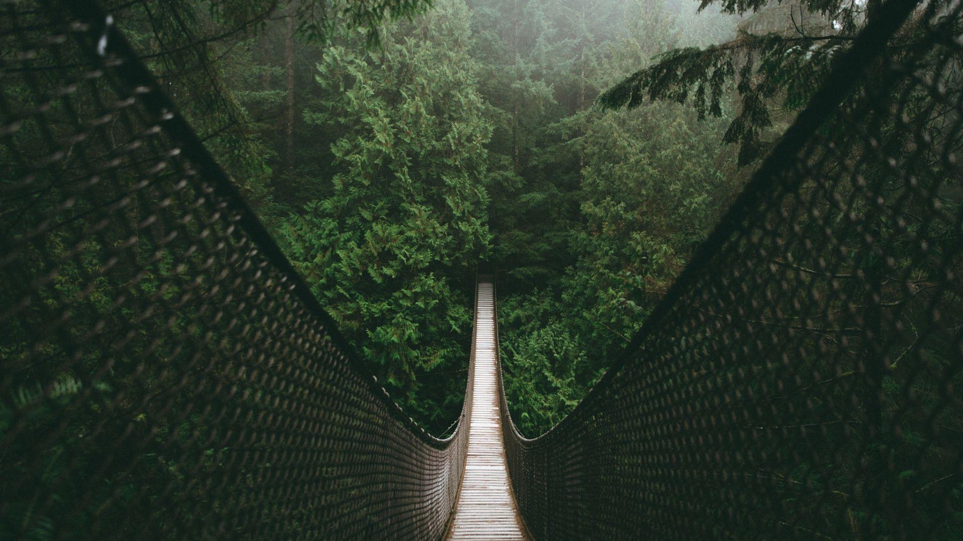 1920x1080 Desktop Wallpaper Bridge, Forest .