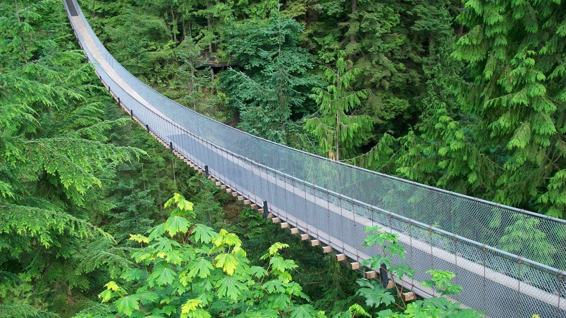1920x1080 Capilano Suspension Bridge Vancouver .