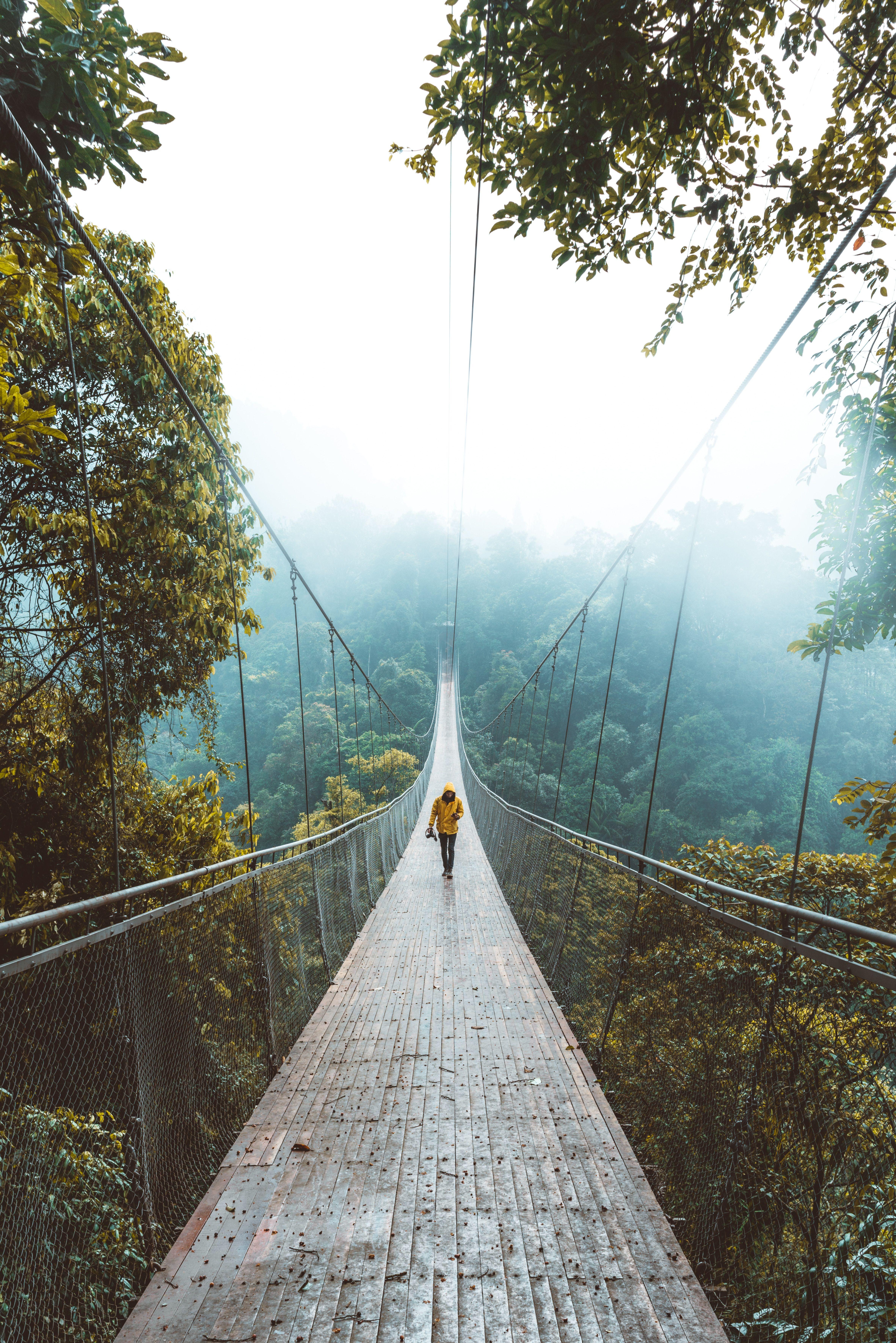 4726x7081 Download wallpaper 4726x7081 bridge .