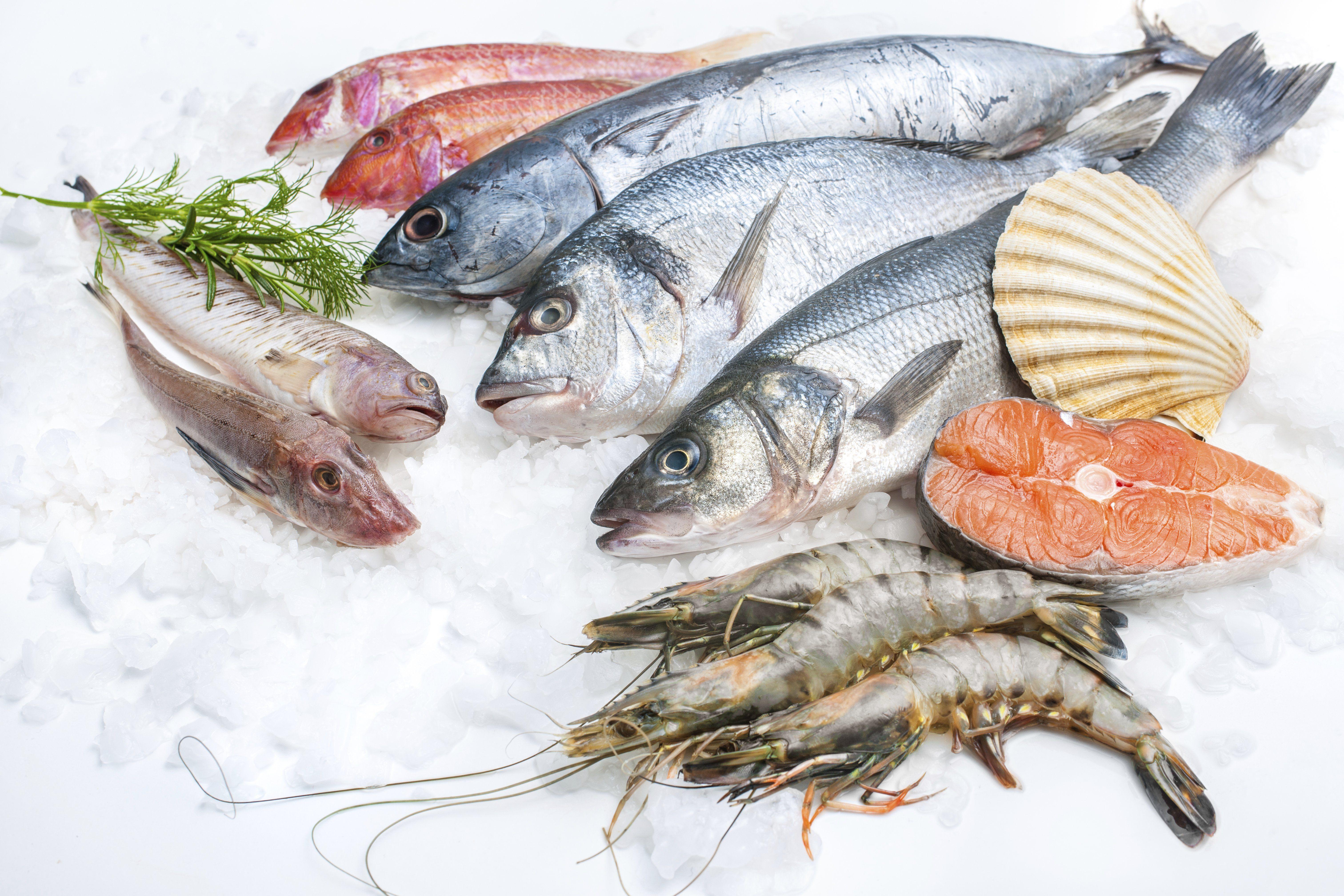 6048x4032 Seafood Food Fish Sea Ocean Wallpaper .