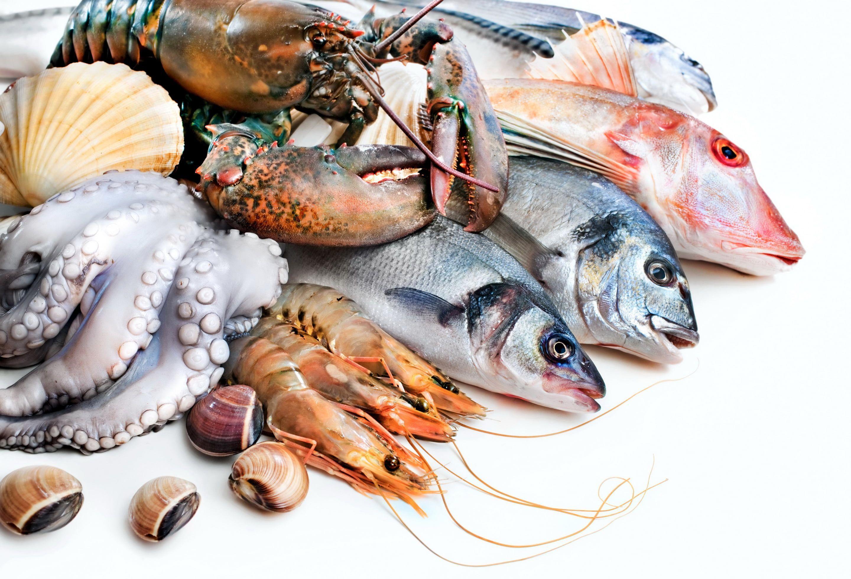2880x1961 sea foods #fish #octopus #Omar #shrimp .com
