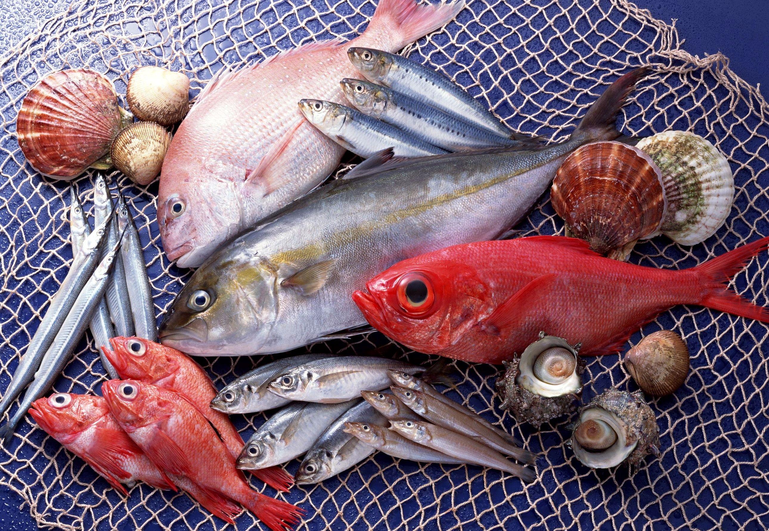 2580x1780 Seafood