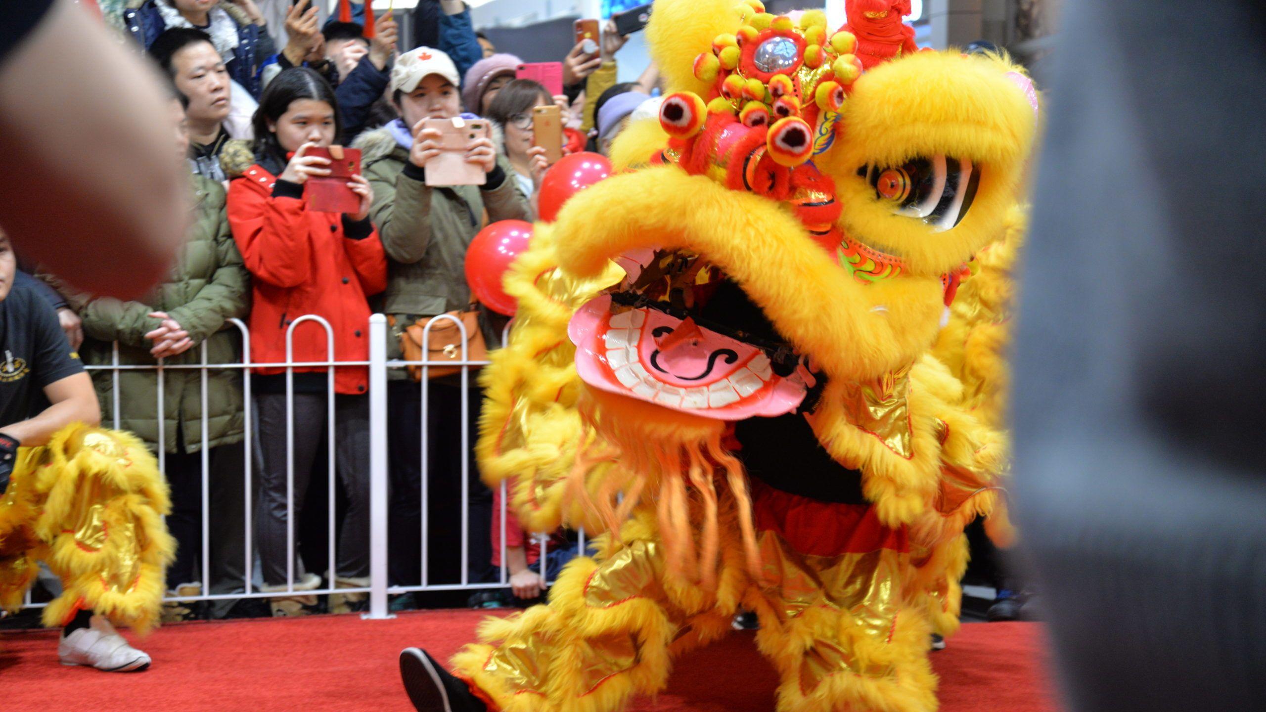 Lion Dance Wallpapers - Top Free Lion Dance Backgrounds - WallpaperAccess