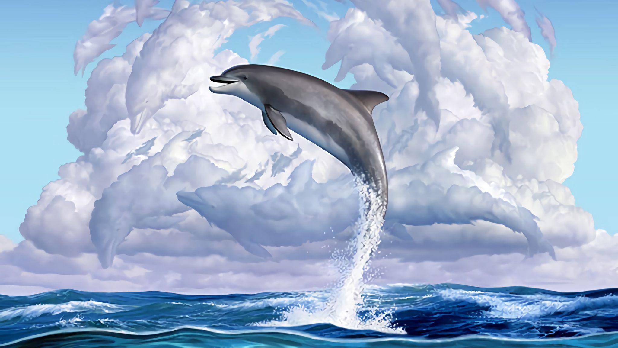 2048x1152 Download wallpaper 2048x1152 dolphin .