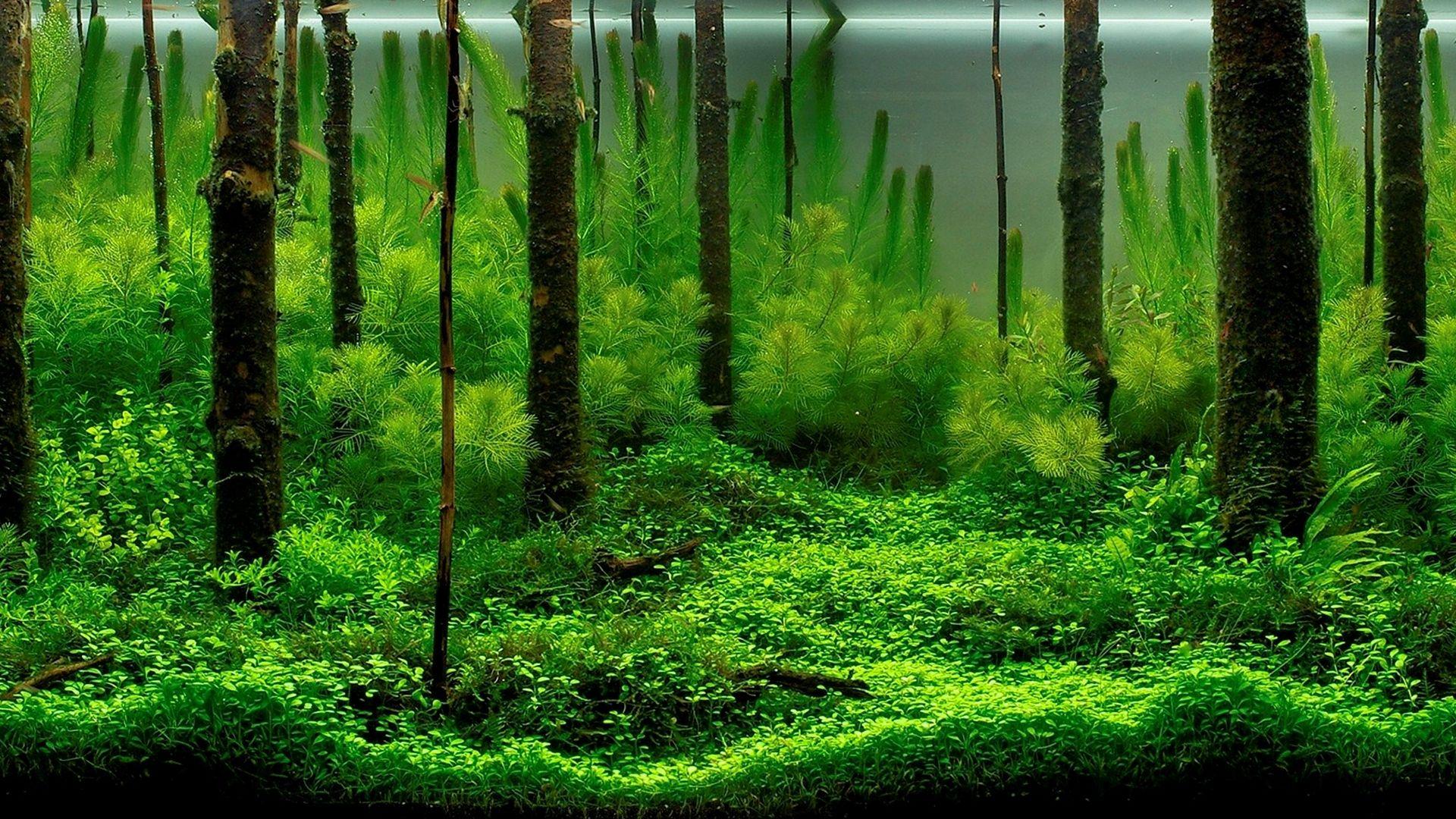 1920x1080 Tank Background Wallpaper .