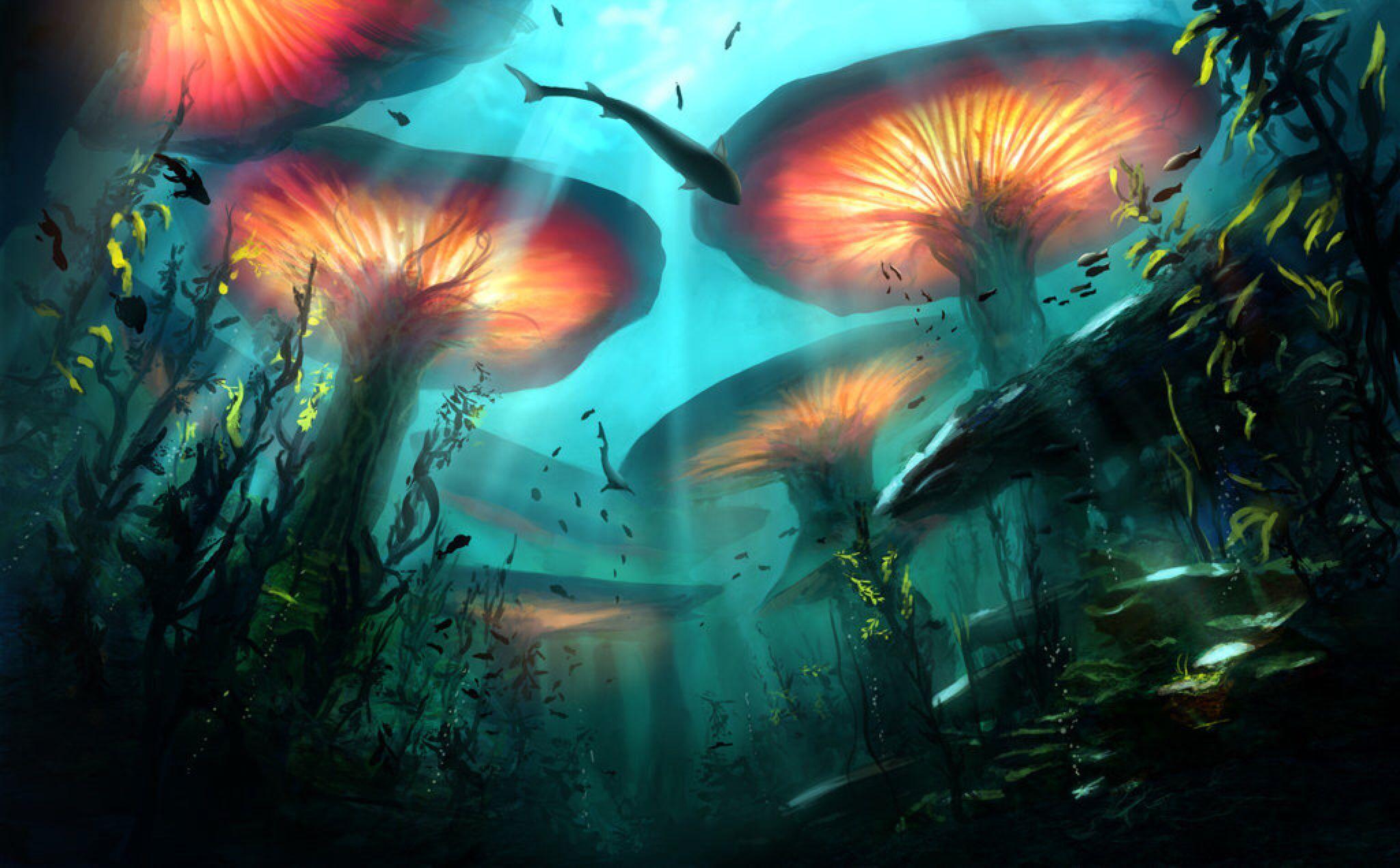 Underwater Forest Wallpapers - Top Free Underwater Forest Backgrounds