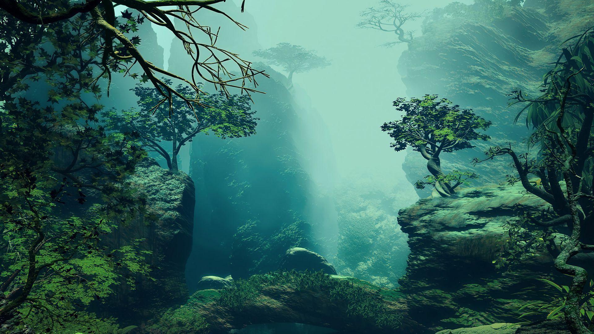 Underwater Forest Wallpapers - Top Free Underwater Forest Backgrounds