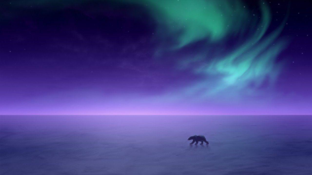 1280x720 Wallpaper Polar bear, Aurora Borealis, Northern Lights, HD, Creative