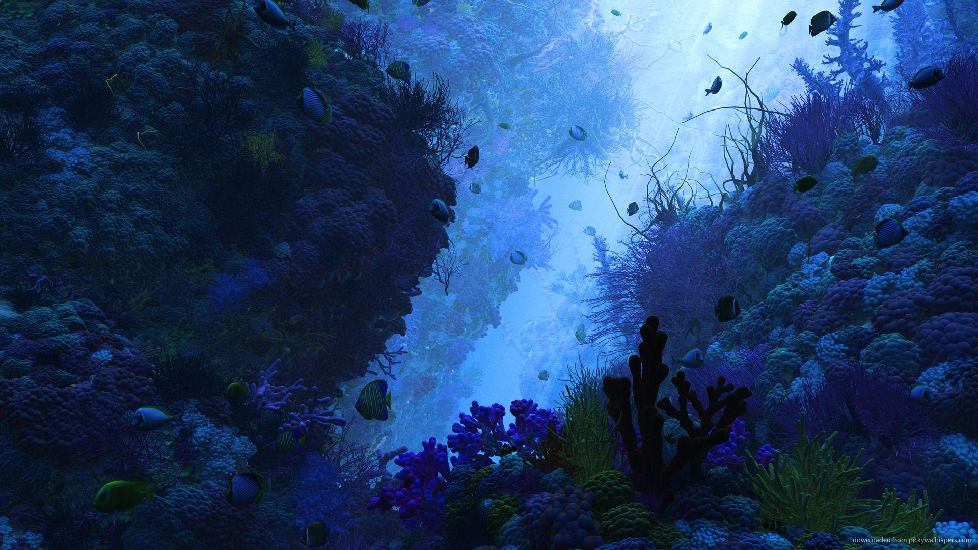 1920x1080 Underwater Wallpaper