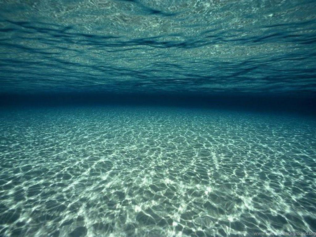 1024x768 Hd Underwater Wallpaper. Decor di Designdecordidesign.